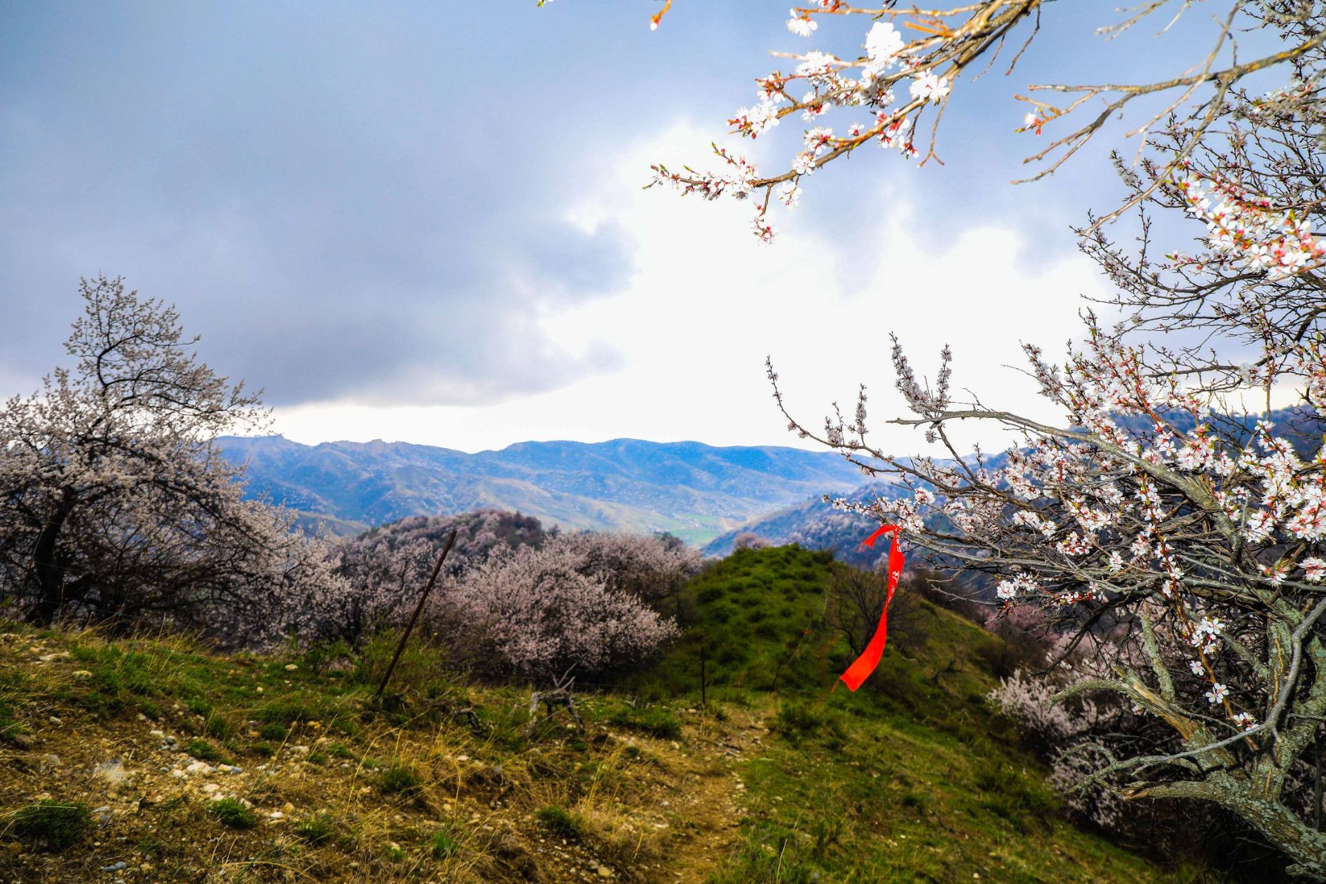 霍城中華福壽山景區好玩嗎,霍城中華福壽山景區景點怎麼樣_點評_評價