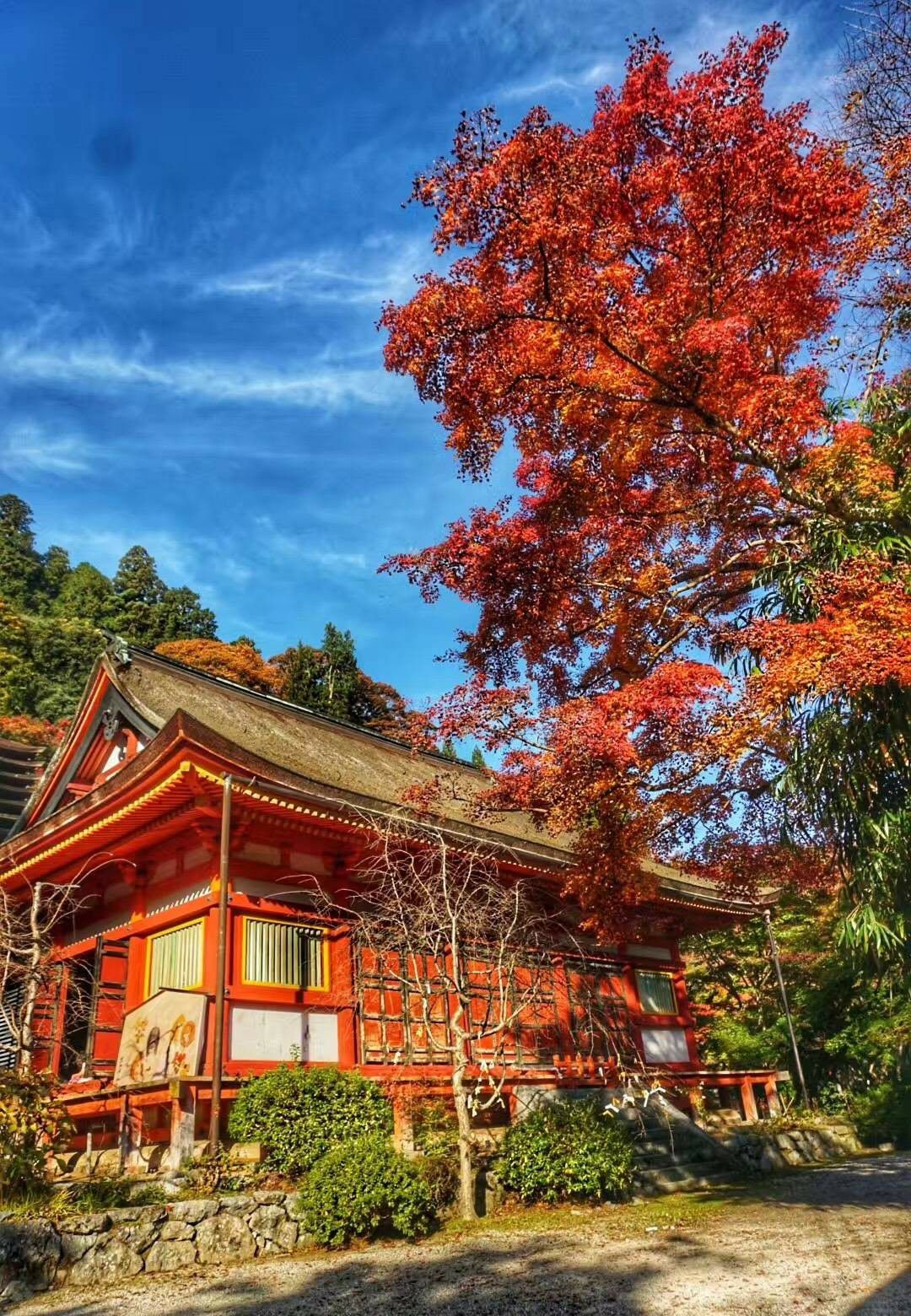 奈良谈山神社好玩吗,奈良谈山神社景点怎么样_点评_评价【携程攻略】