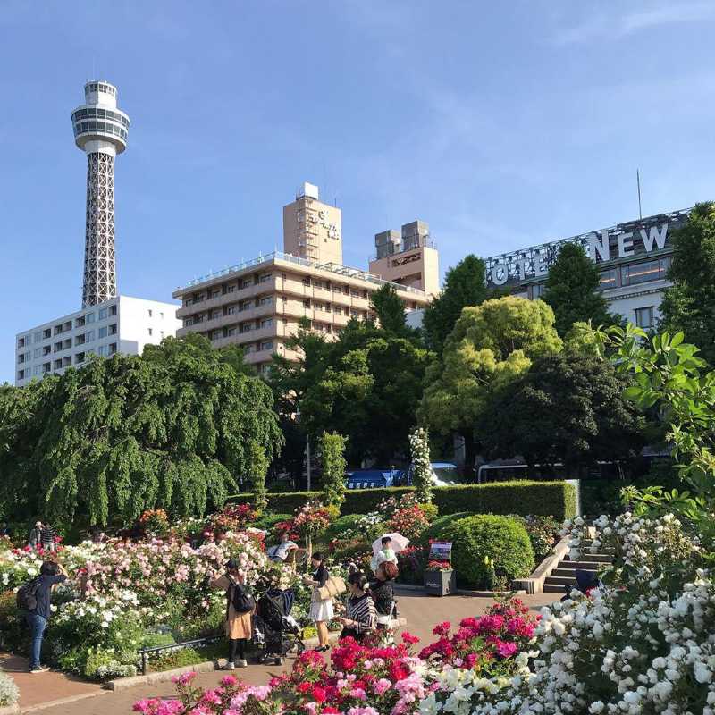 山下公园之行 横滨之行 携程旅拍