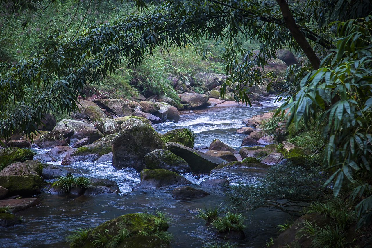 画稿溪国家级自然保护区