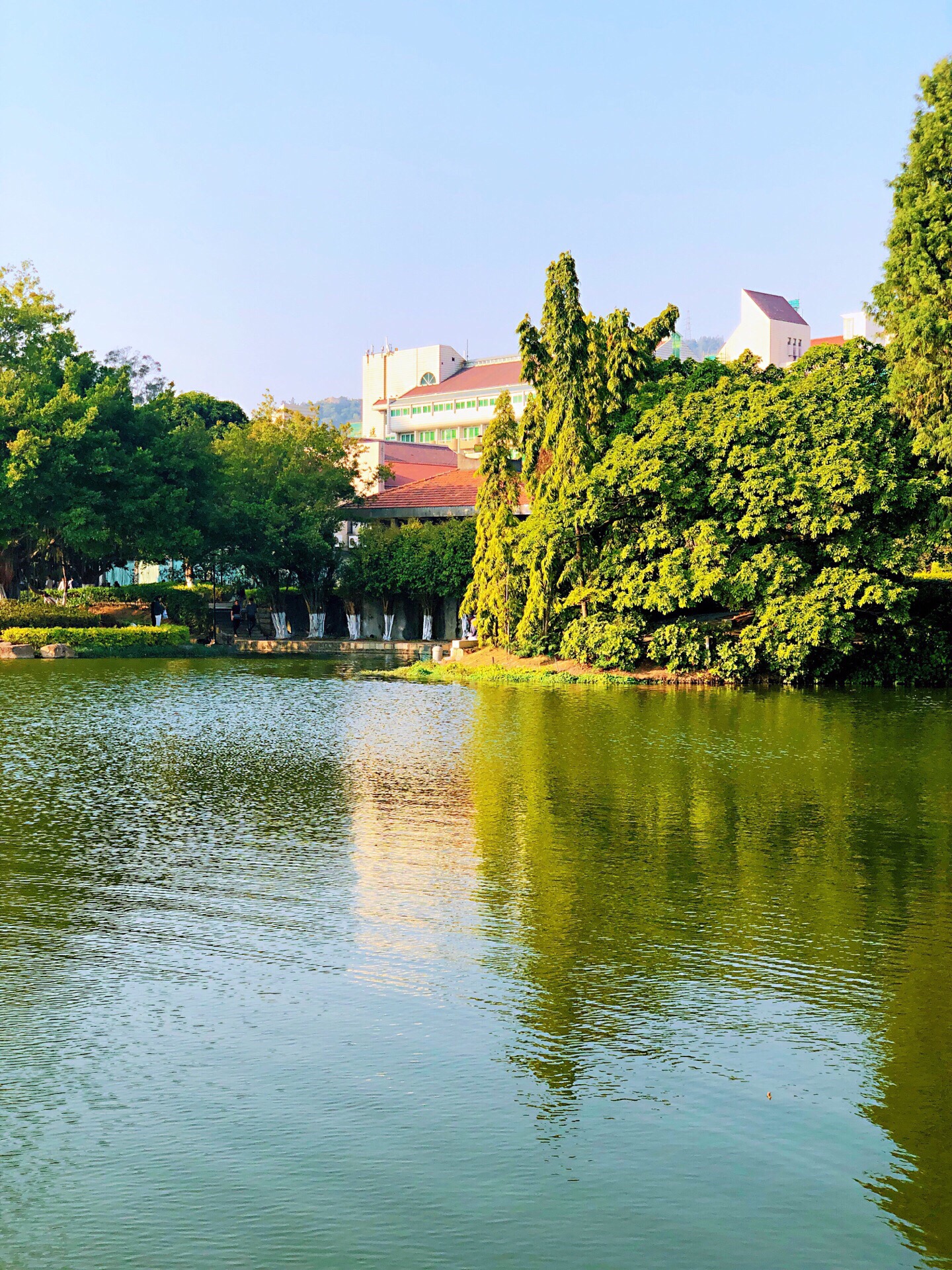 华清宫里最美的就是以九龙湖和芙蓉湖为中心的皇家园林区域|九龙湖|华清宫|芙蓉湖_新浪新闻