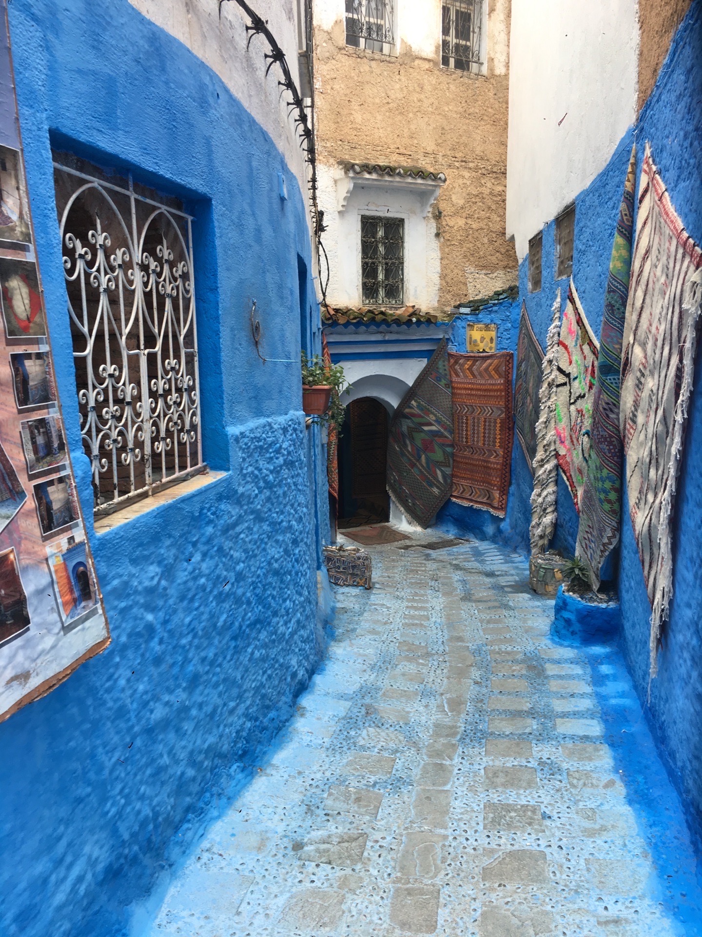 “蓝色迷城”舍夫沙万 摩洛哥的梦境之城_旅游_环球网