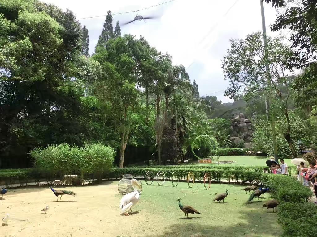 福州福州国家森林公园珍稀植物园攻略,福州福州国家森林公园珍稀植物园门票/游玩攻略/地址/图片/门票价格【携程攻略】