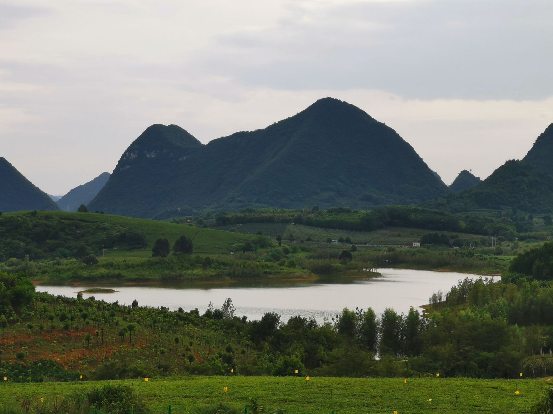 蘆荻哨之紅楓湖生態茶園,清鎮,貴陽.