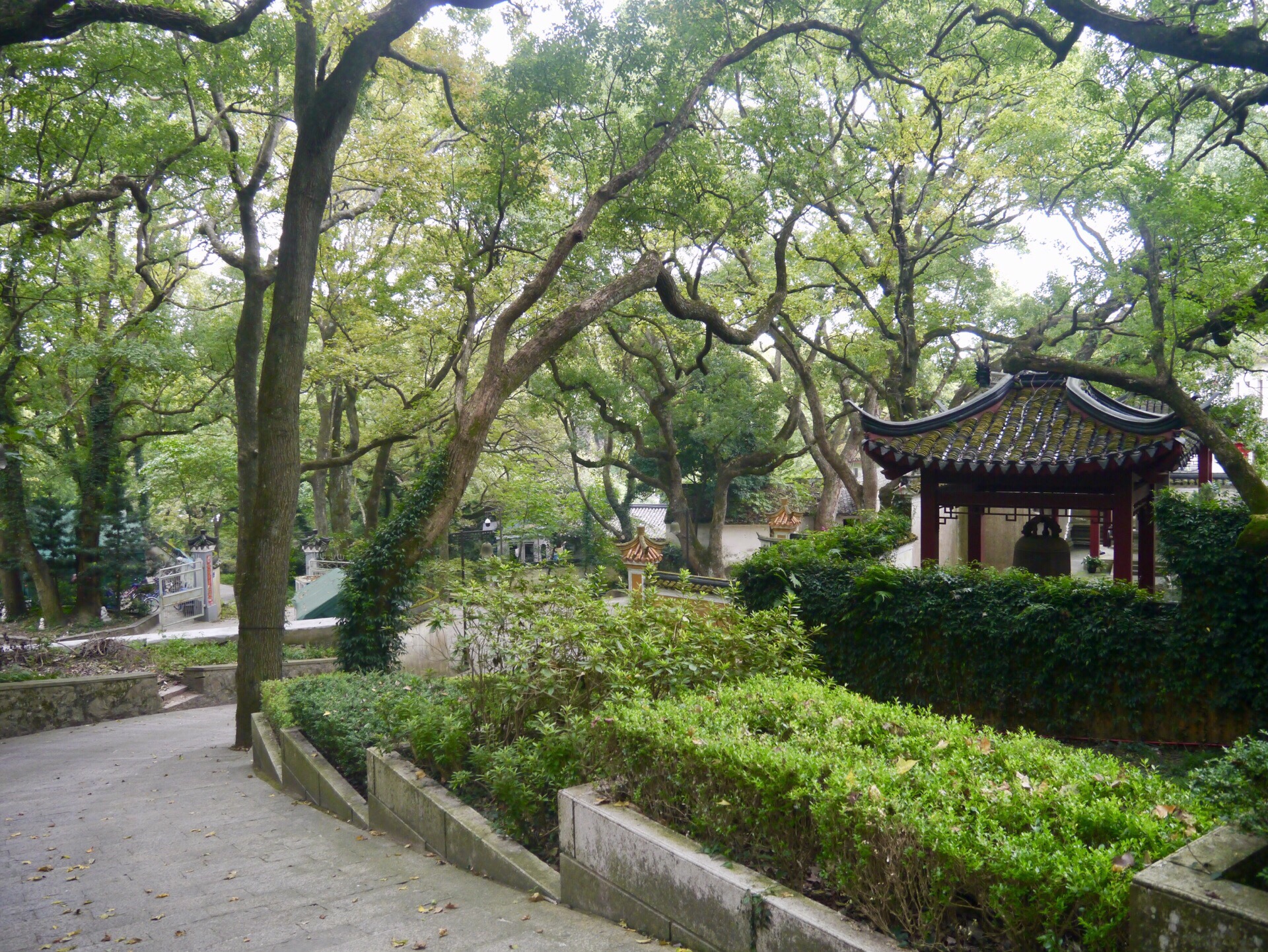 杨枝禅院