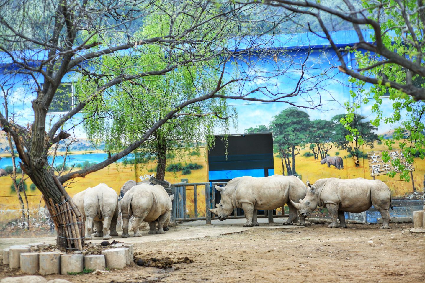 秦嶺野生動物園