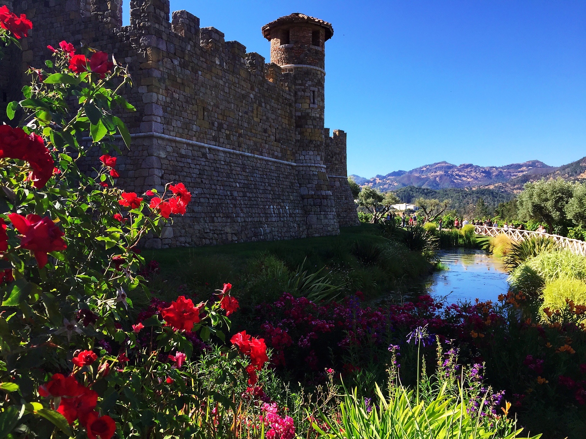 纳帕谷(napa valley),以生产葡萄酒而闻名于世,位于美国加州