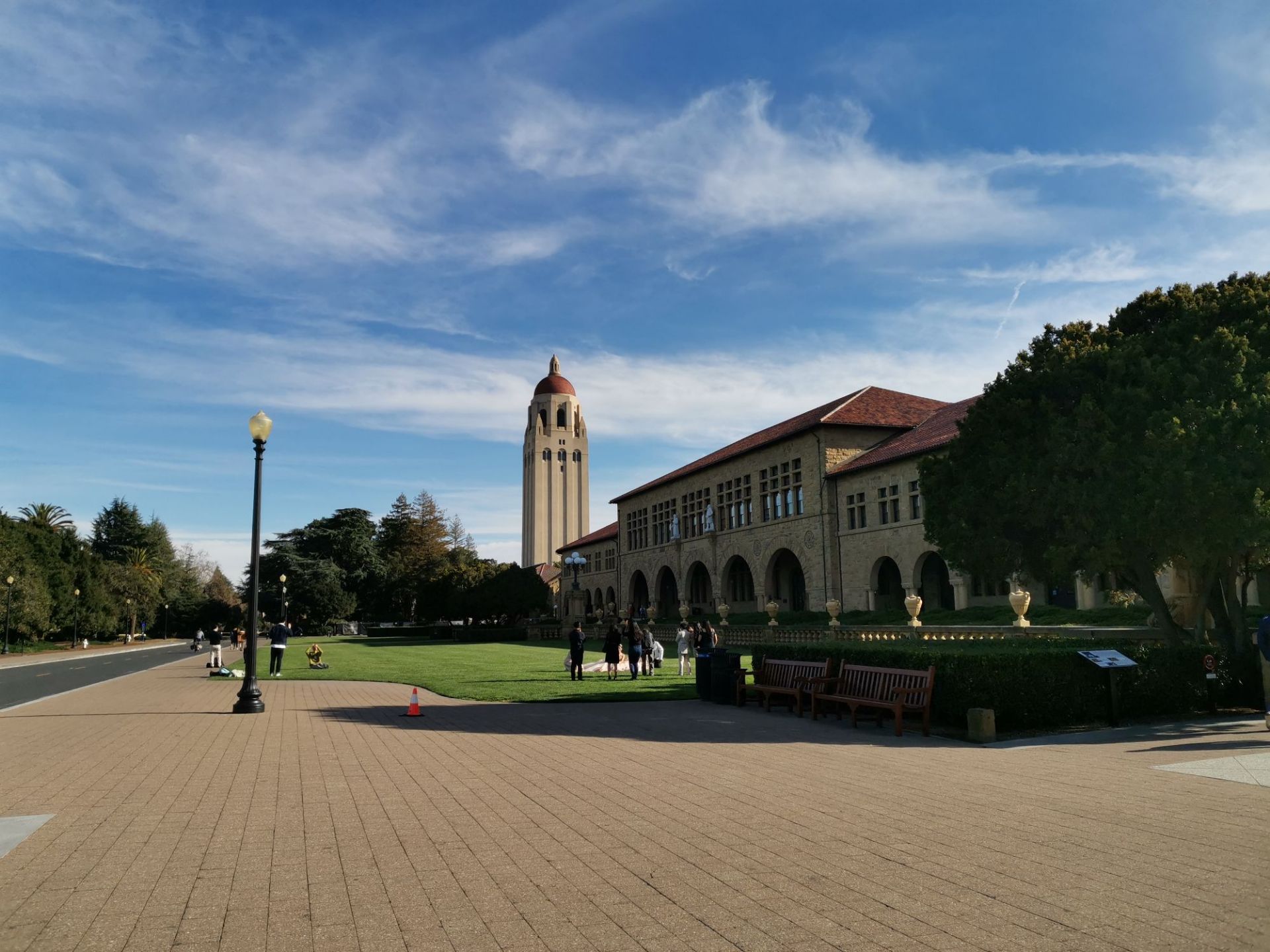 斯坦福大学(stanford university),大学校园内有大片的树林和