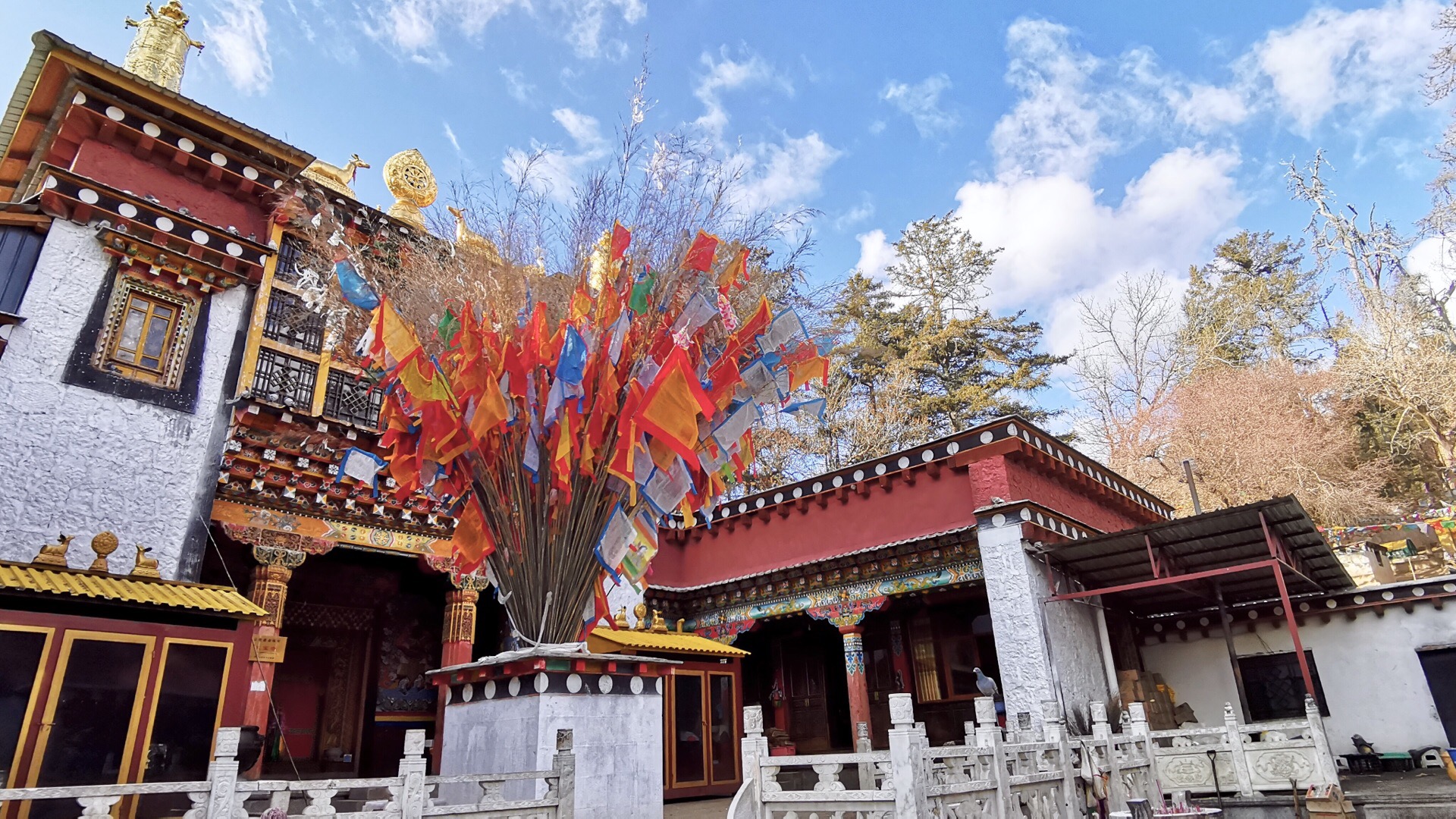 4-Day Shangri-La Tour: Balagezong's majestic beauty, Napa Sea's prairie charm