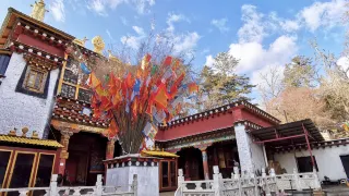 4-Day Shangri-La Tour: Balagezong's majestic beauty, Napa Sea's prairie charm