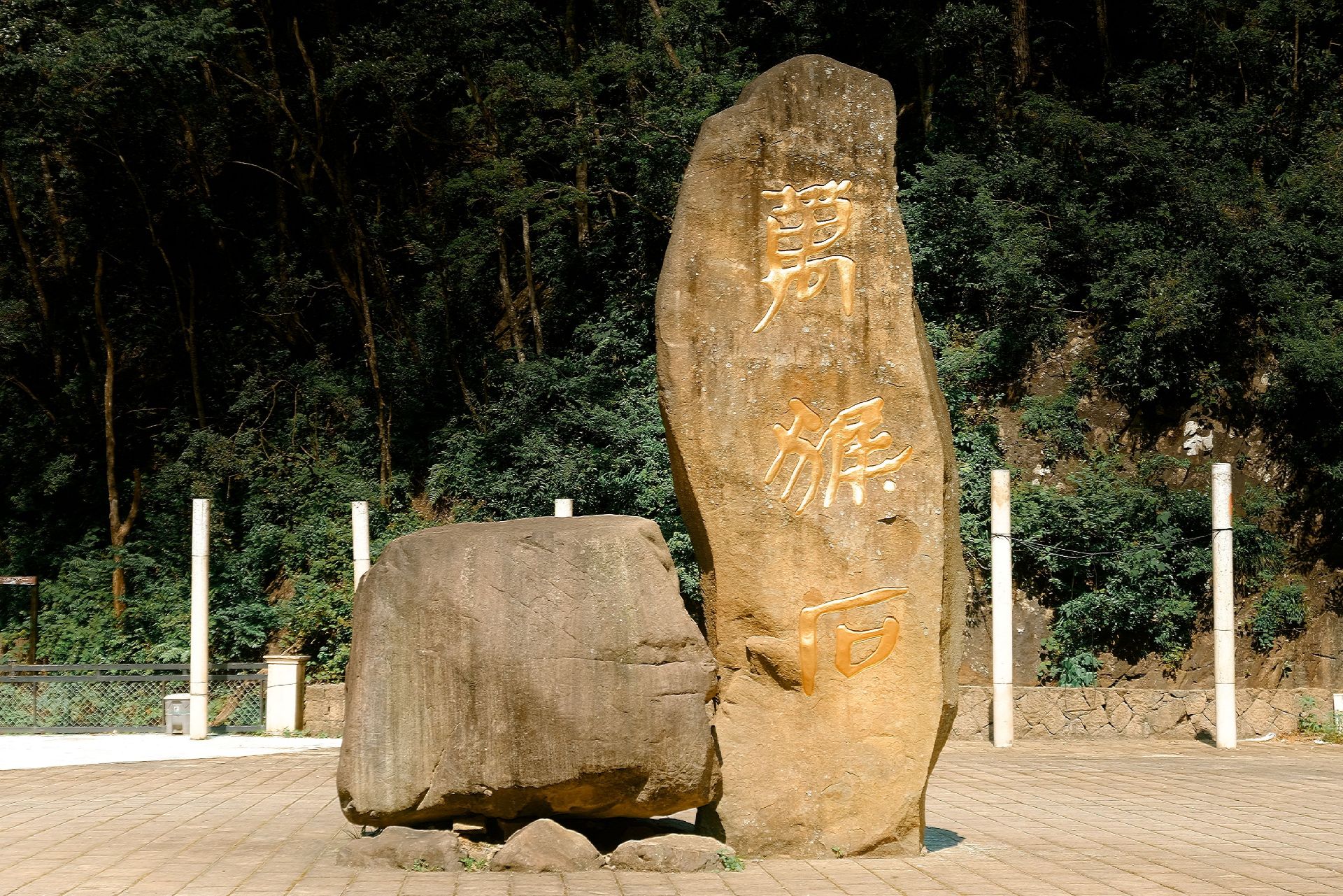 温州文成猴王谷 亿年原始森林 猴子成群训练有素
�