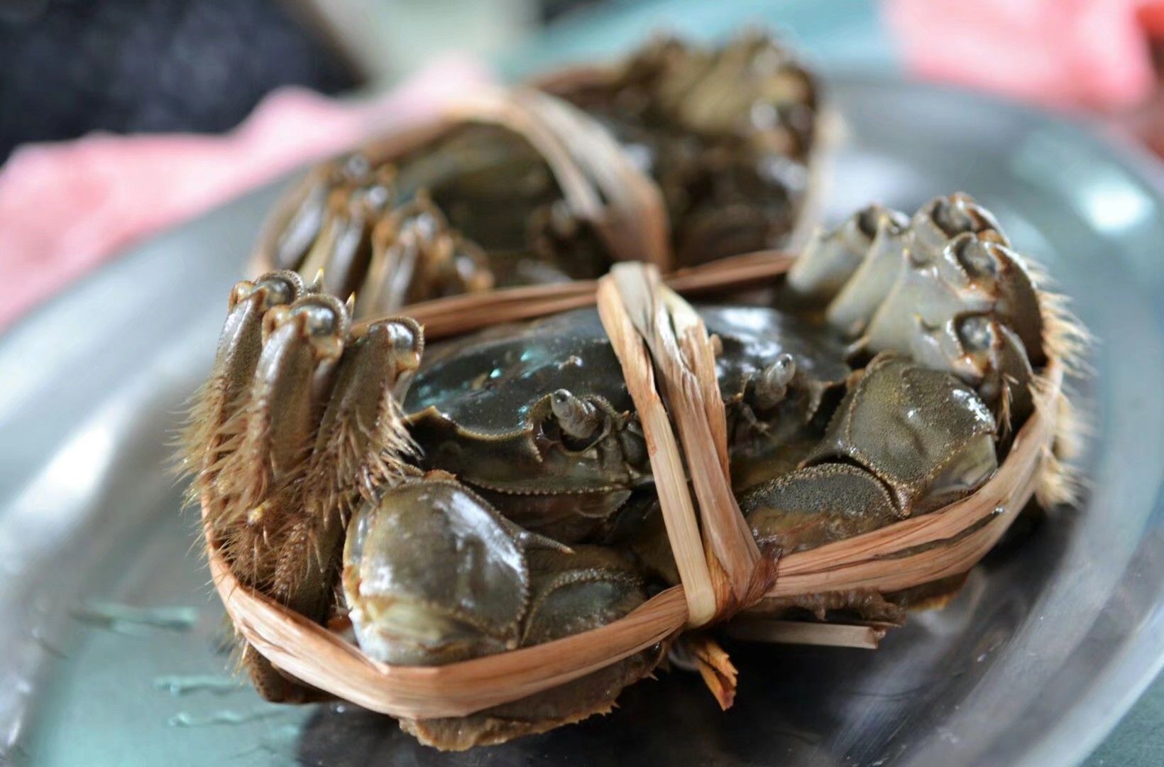 苗栗南庄桂花巷