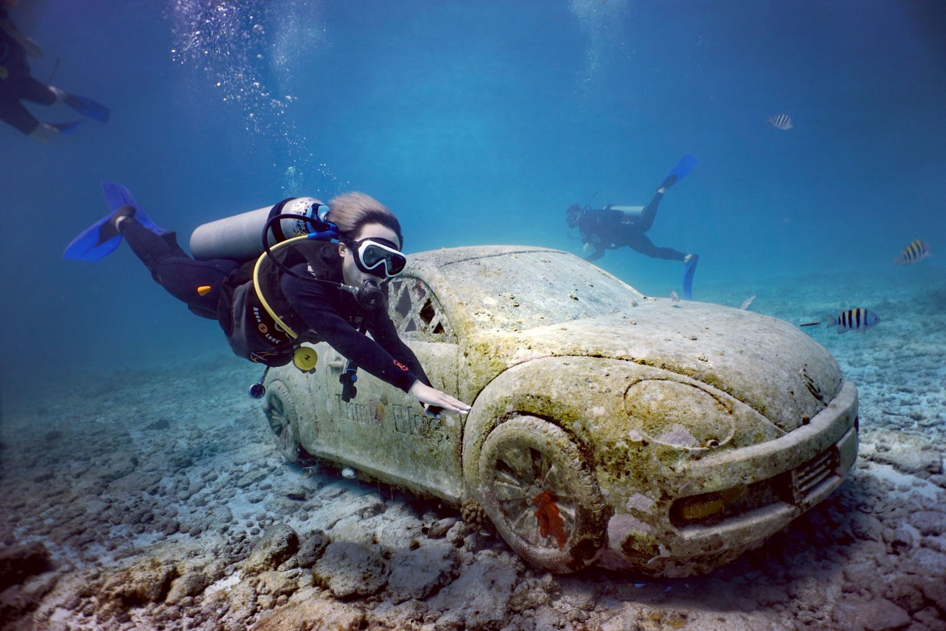 初恋神秘加勒比"坎昆"

来到海边,第一件事必须是潜水!