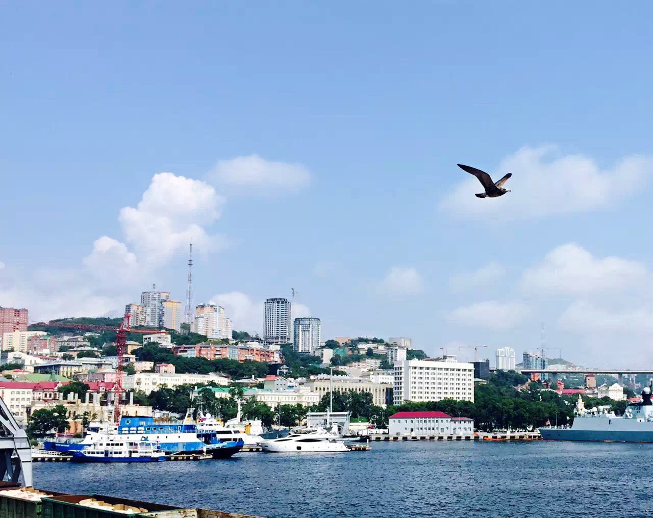 海参崴金角湾攻略,海参崴金角湾门票/游玩攻略/地址/图片/门票价格