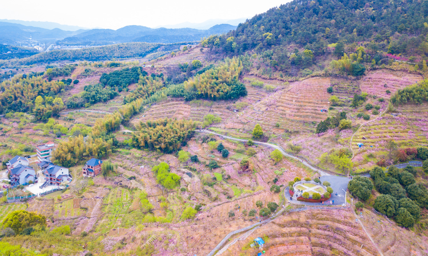 阳山畈村