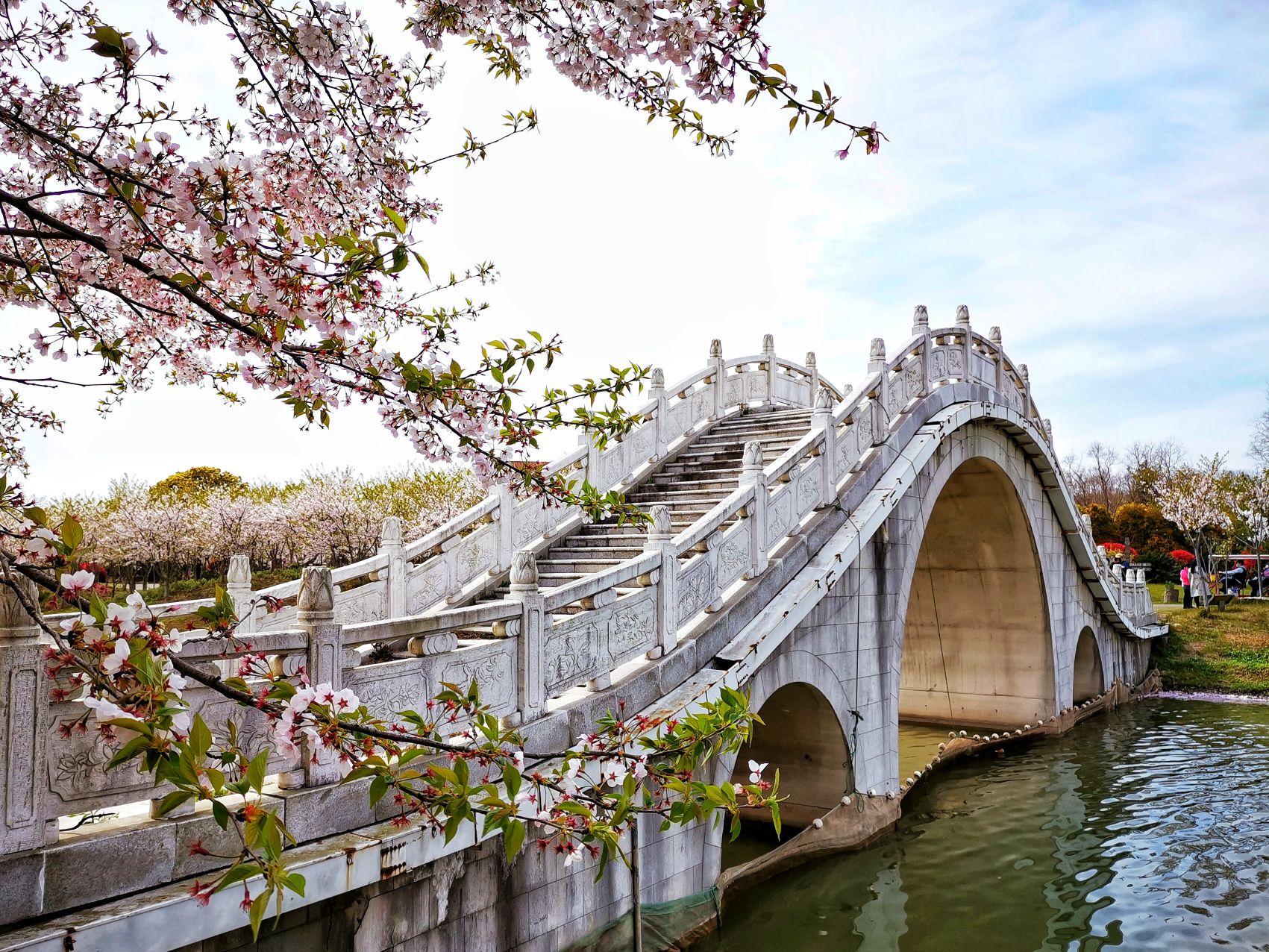 上海海灣國家森林公園