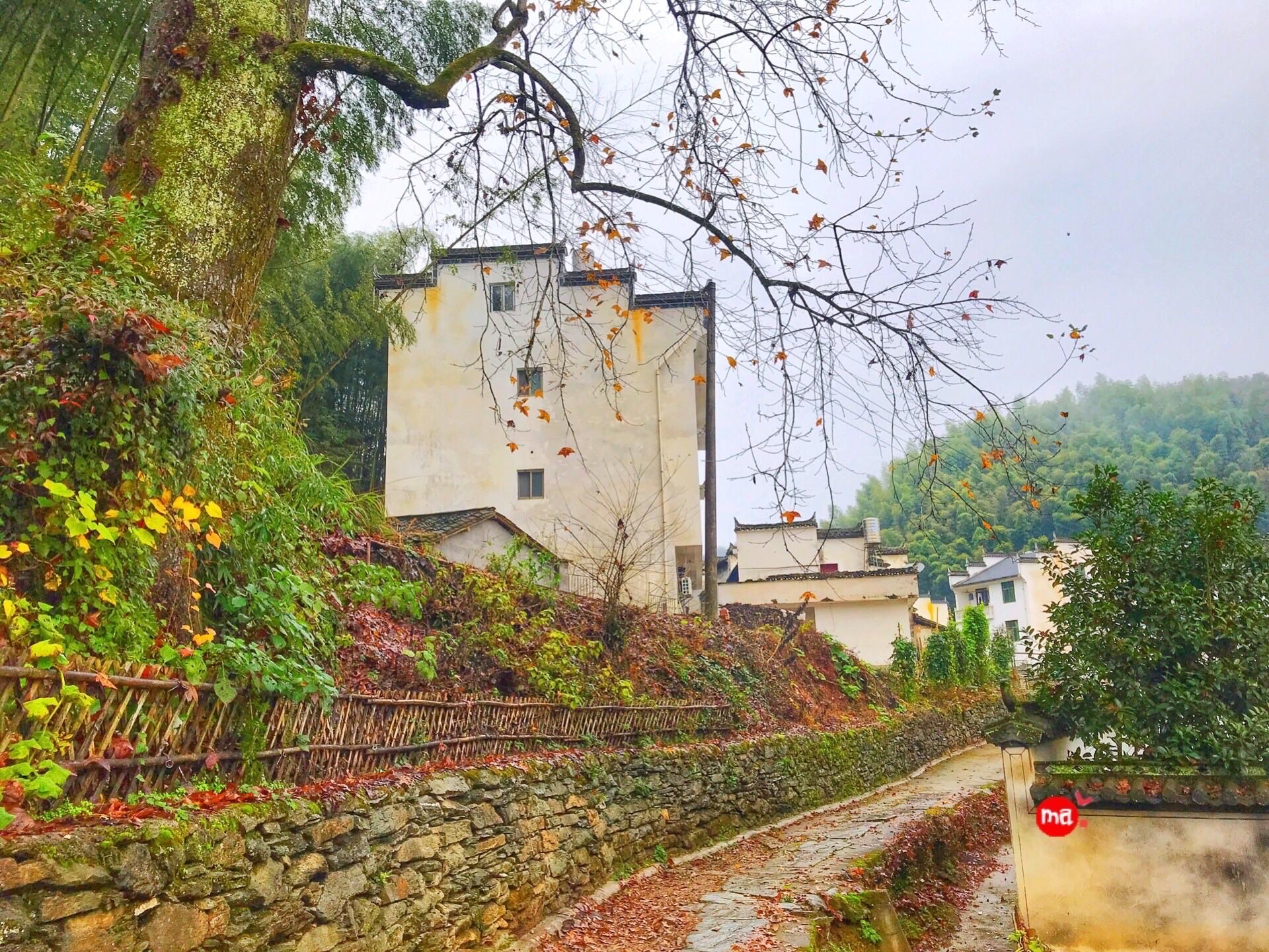 【携程攻略】婺源西冲村景点,婺源版《向往的生活》阡陌交通,鸡犬相闻