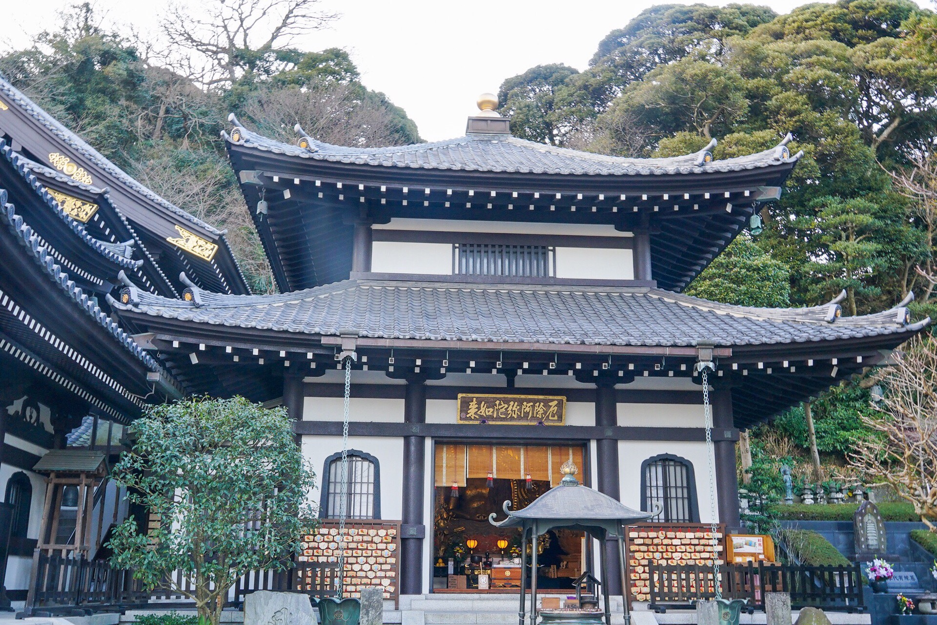 长谷寺位于日本神奈川县镰仓市的净土宗系单立寺院.