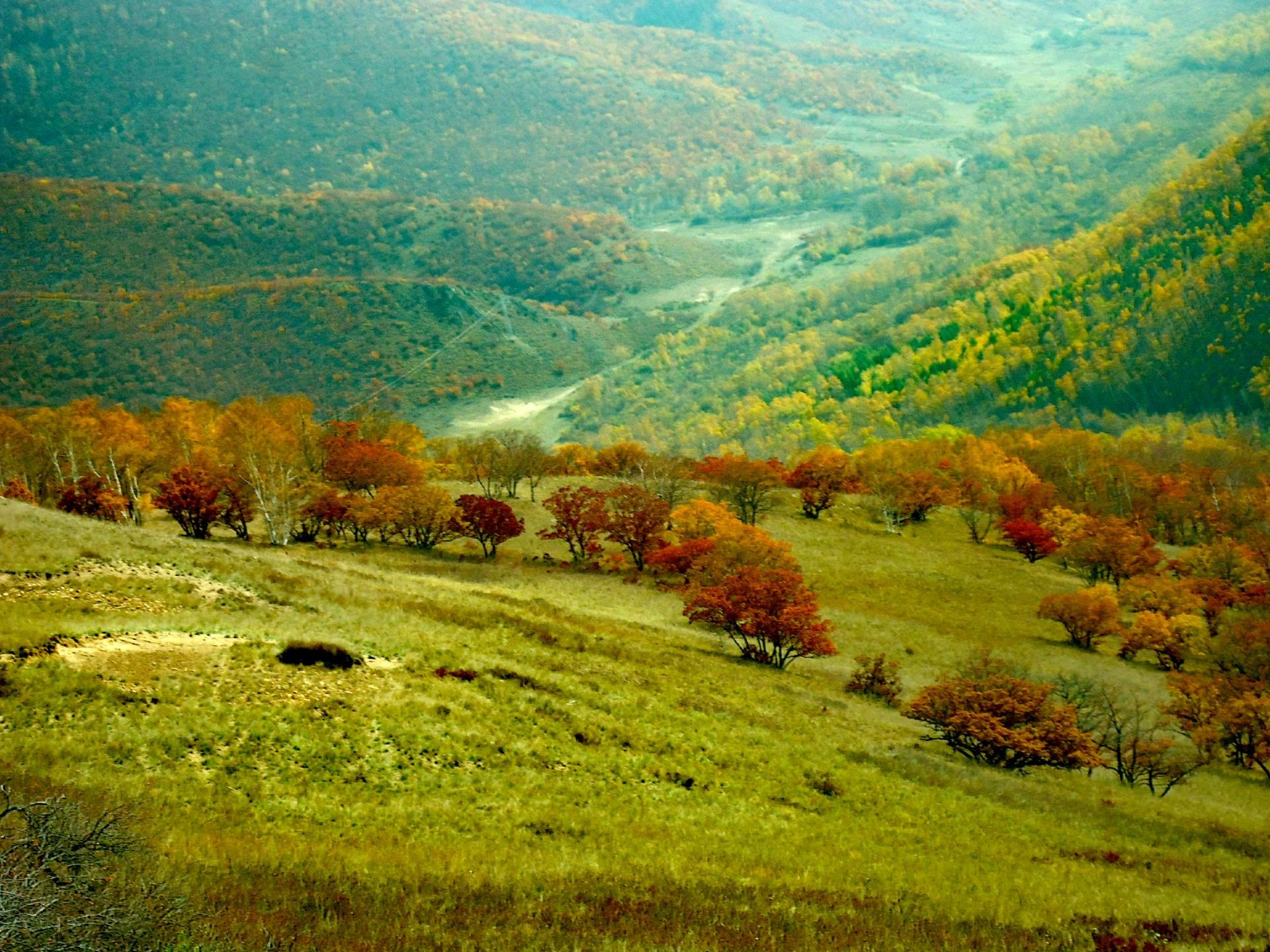 克什克腾旗黄岗梁国家森林公园景点怎么样_点评_评价【携程攻略】