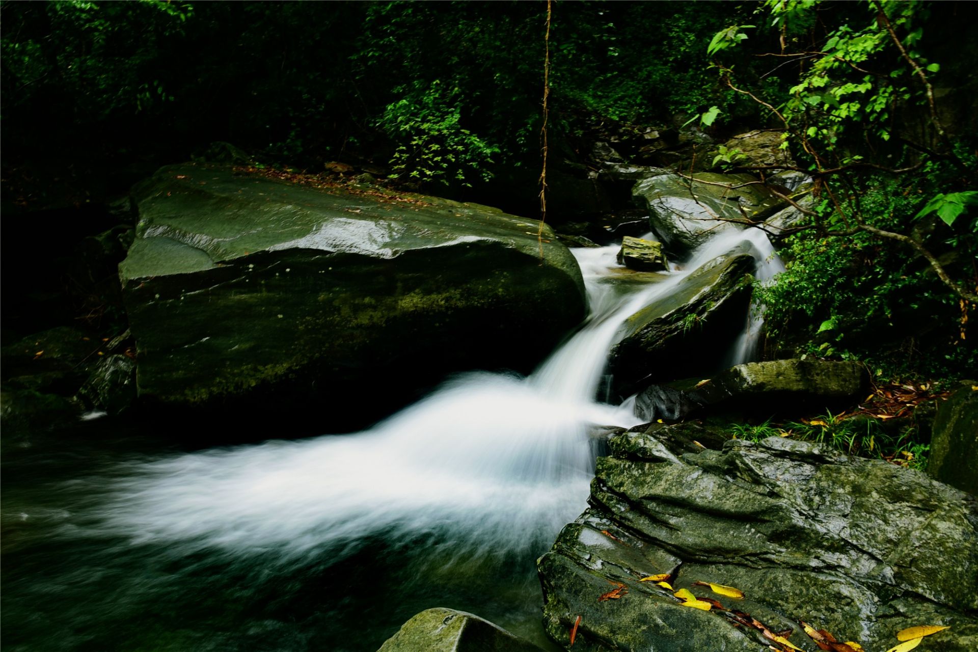 平利桃花溪景区
