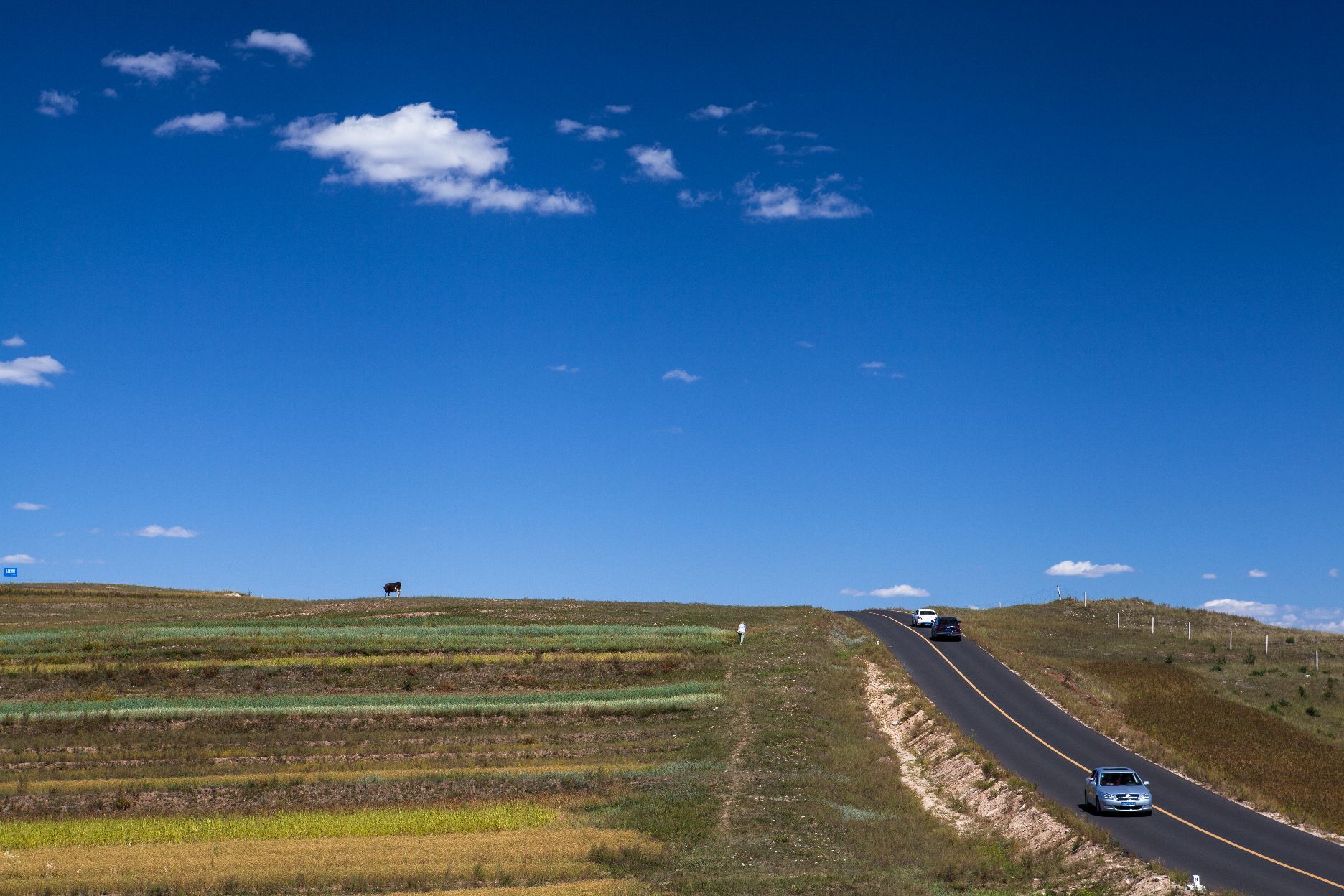 【携程攻略】张家口草原天路景点,草原天路位于张家口市张北县和崇礼