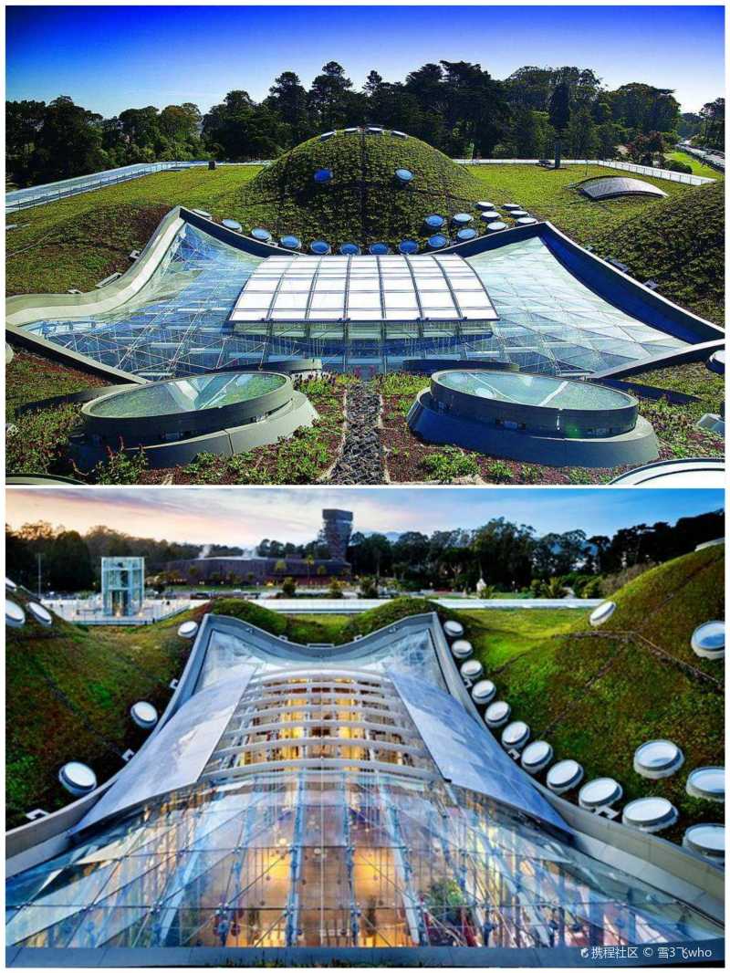 旧金山必打卡│加州科学博物馆