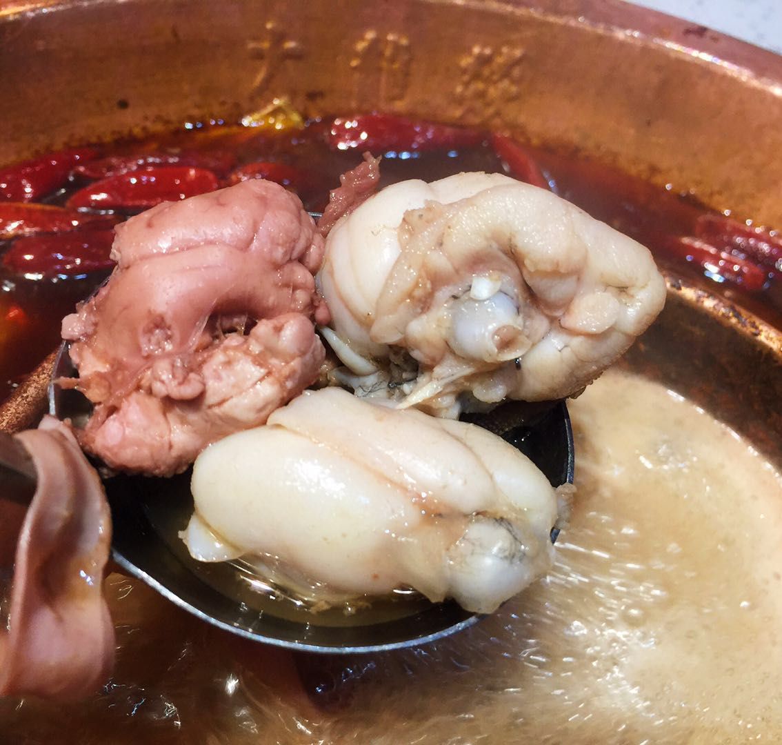 再点了肥牛,鸭肠,脑花,牛蛙等,满满都是肉肉,吃得饱的扶墙走 