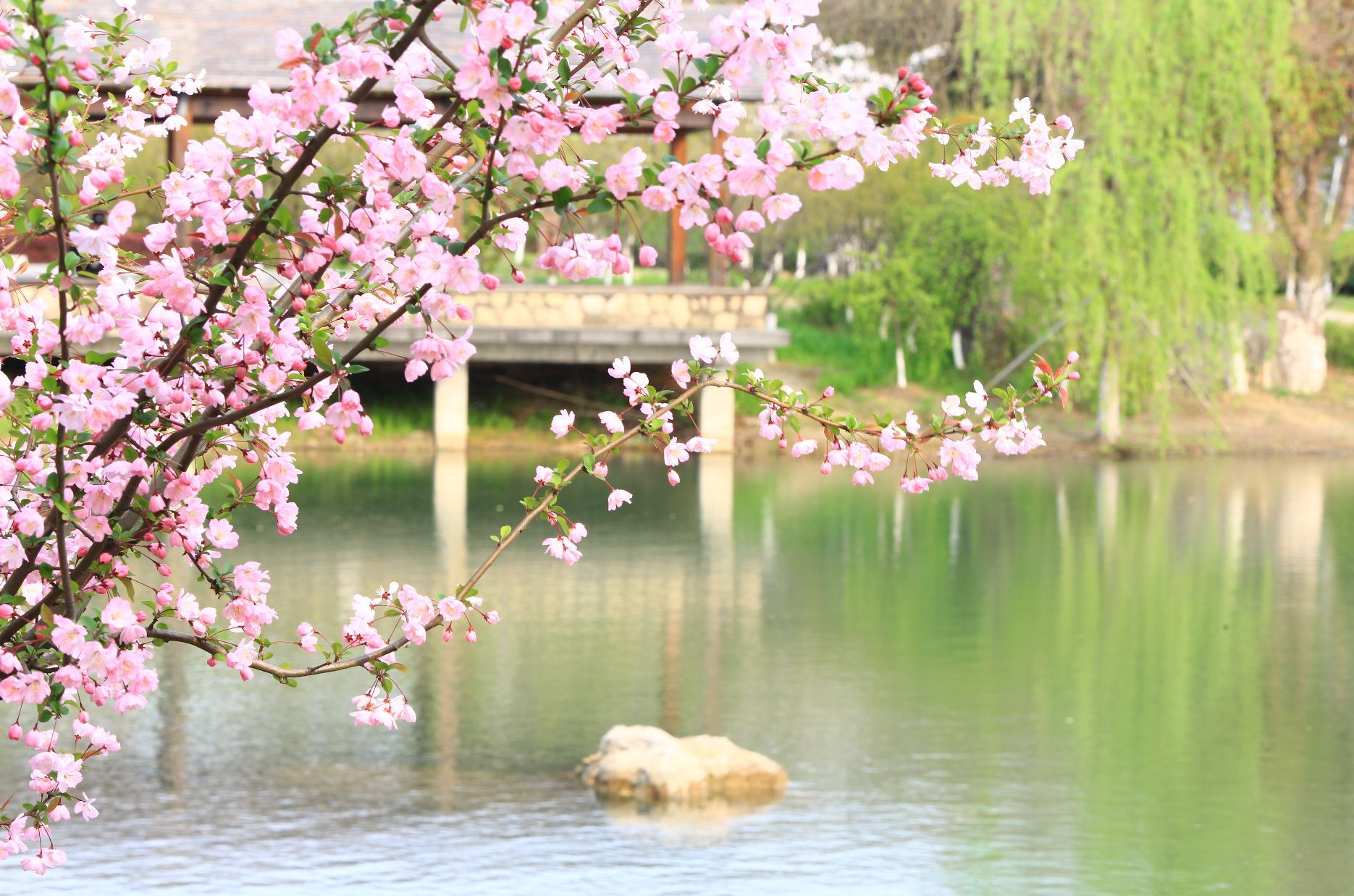仙樱湖公园