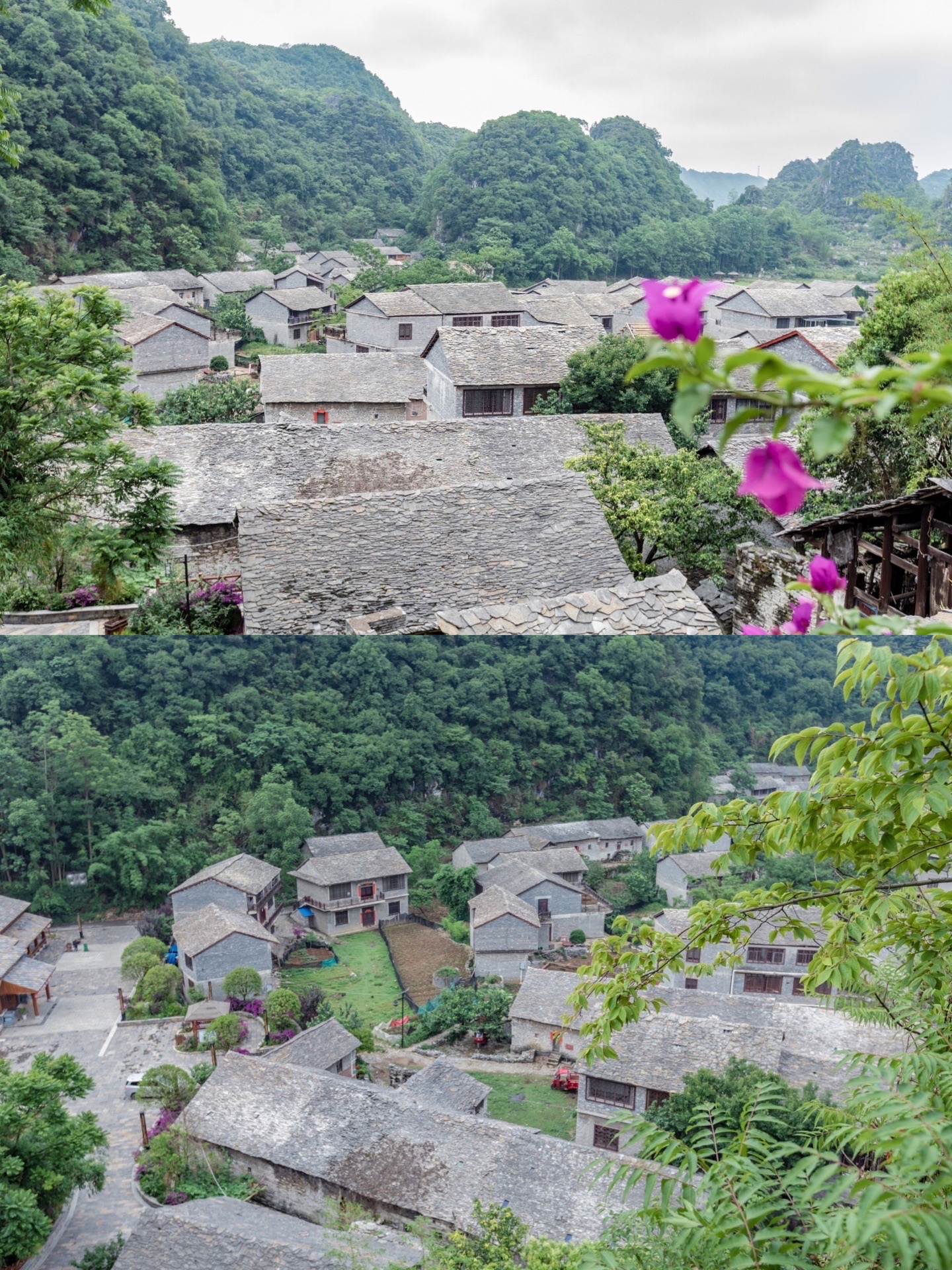 放弃了毕节的百里杜鹃景区,直接驱车来到安顺的"千年布依高荡古寨景区