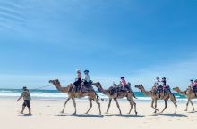 Lighthouse beach 骑骆驼20分钟，成人40刀儿童25刀。海滩很长，除了骆驼之外，风景