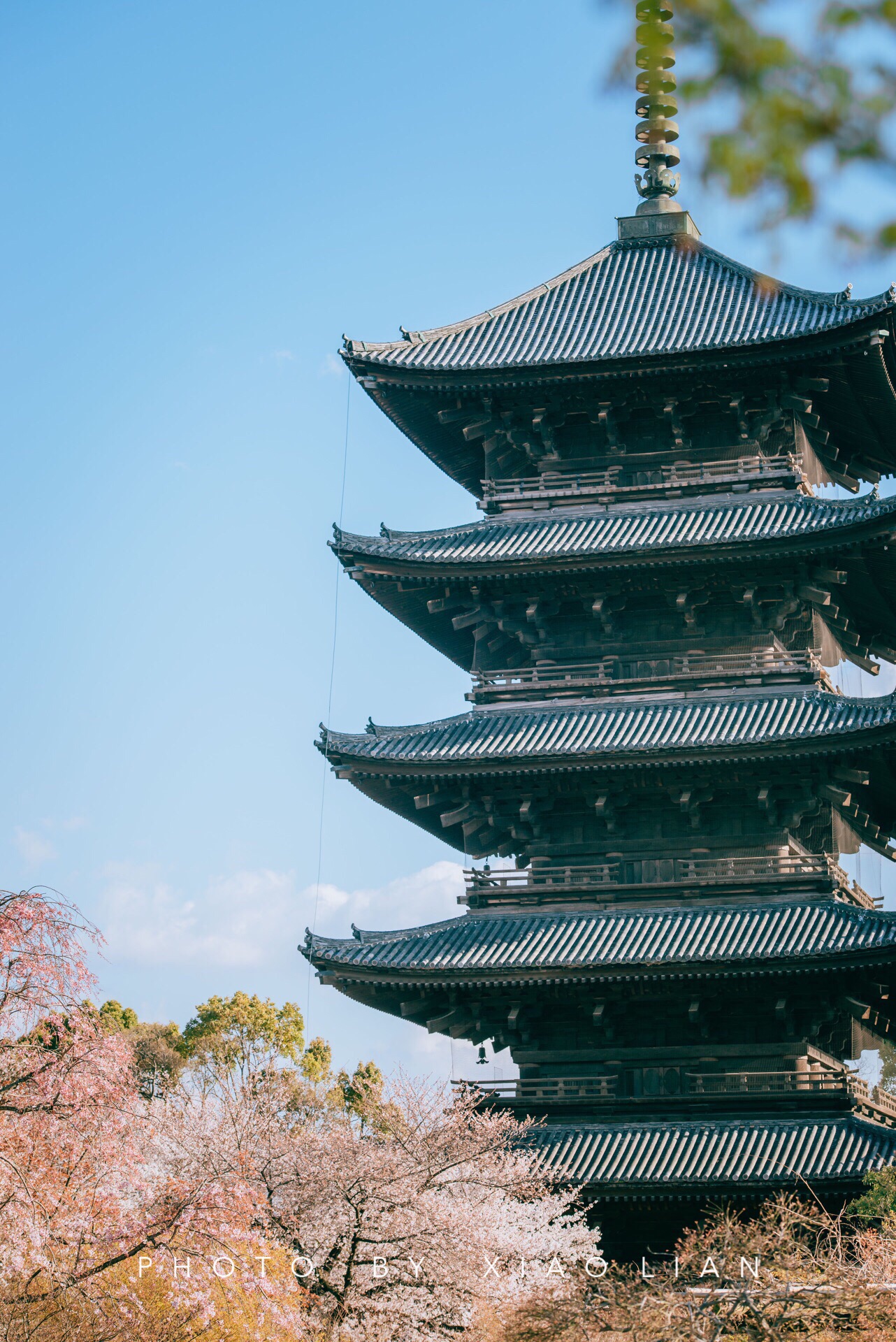 京都东寺攻略,京都东寺门票/游玩攻略/地址/图片/门票价格【携程攻略】