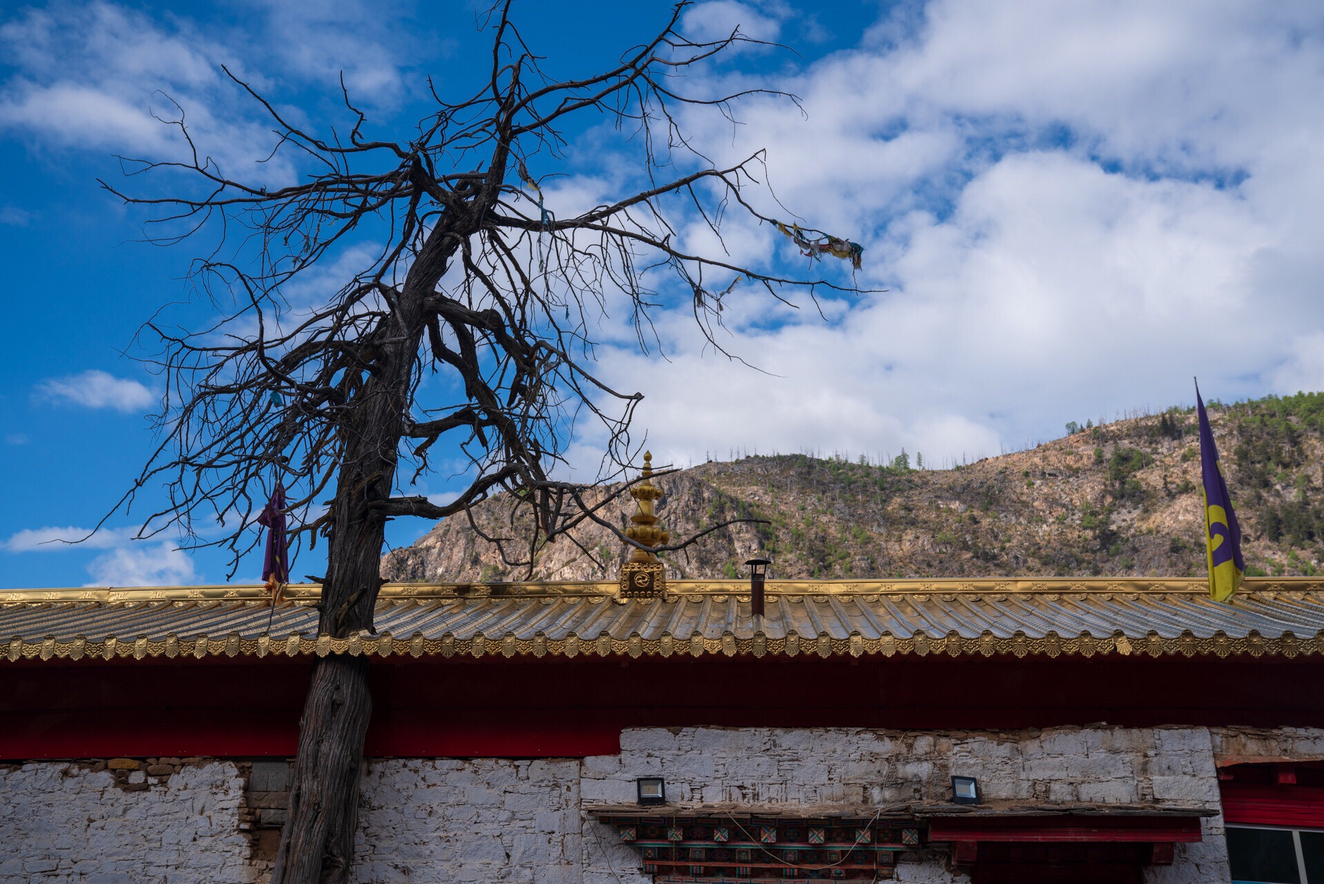 稻城邦普寺攻略,稻城邦普寺门票/游玩攻略/地址/图片/门票价格【携程