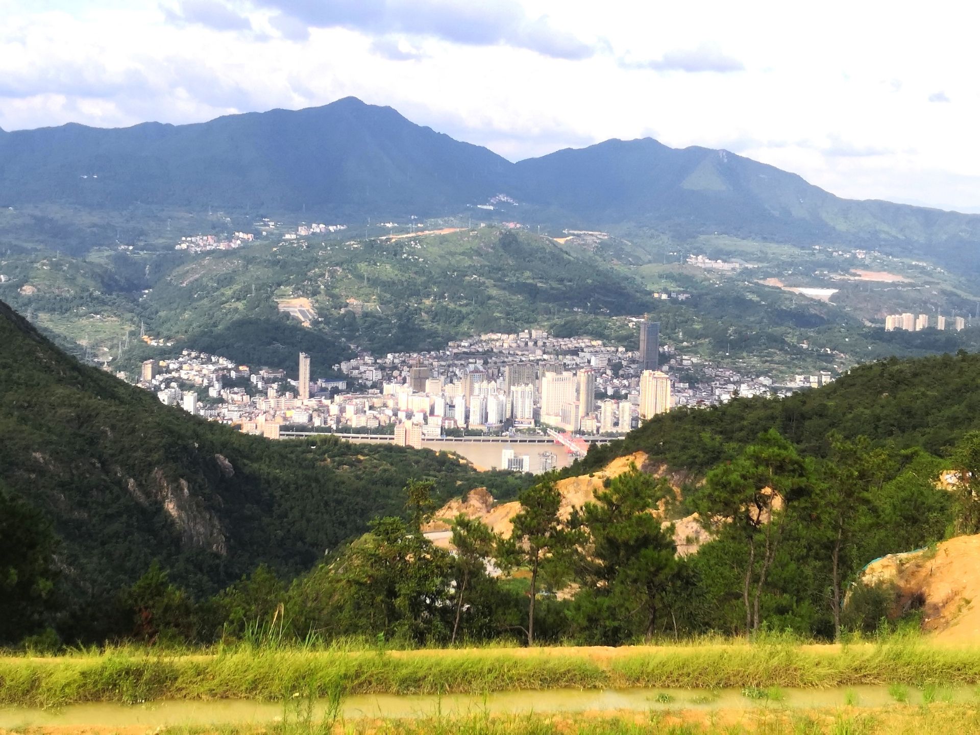 丽水温溪古榕群攻略,丽水温溪古榕群门票/游玩攻略/地址/图片/门票