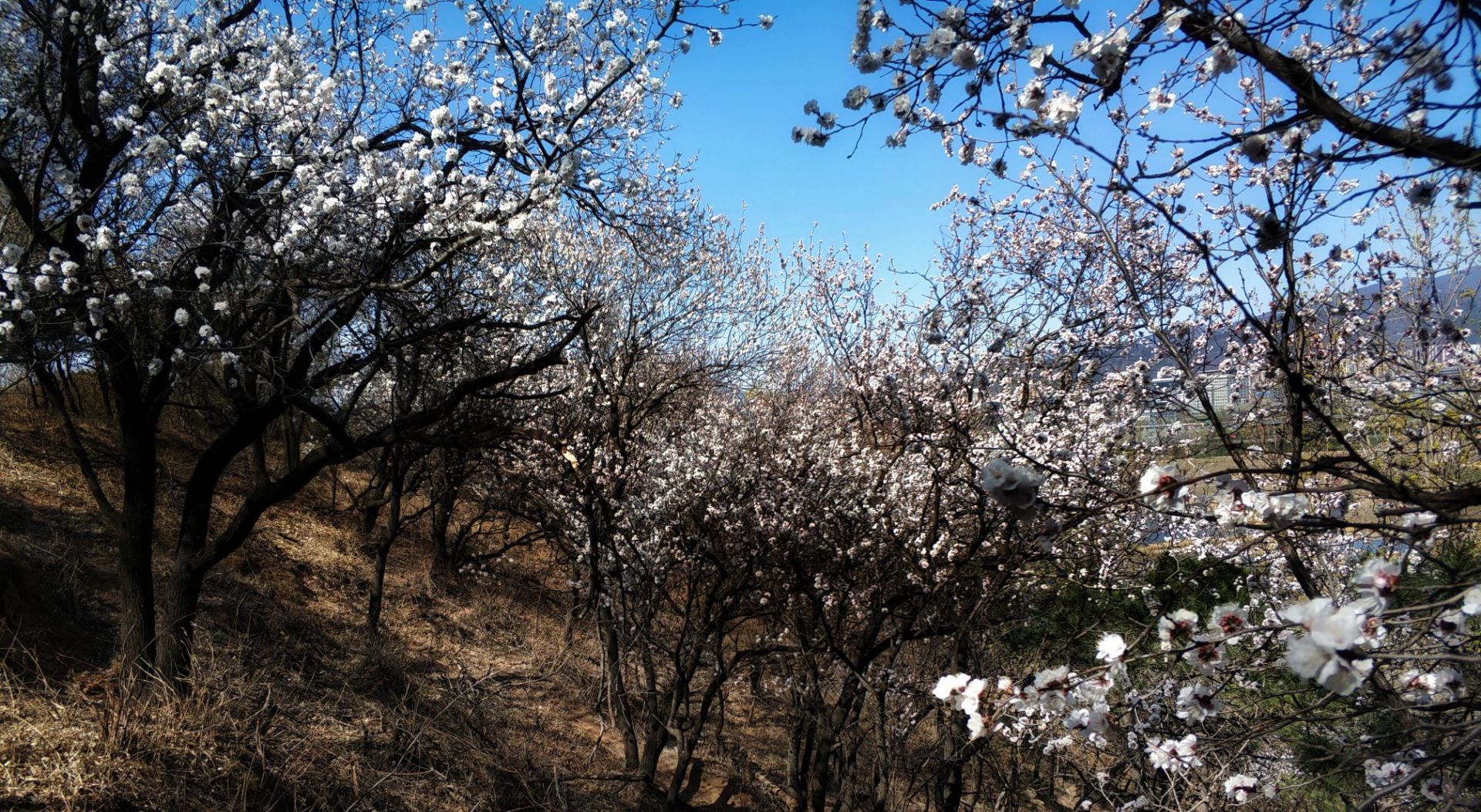 北京老山城市休闲公园好玩吗,北京老山城市休闲公园景点怎么样_点评