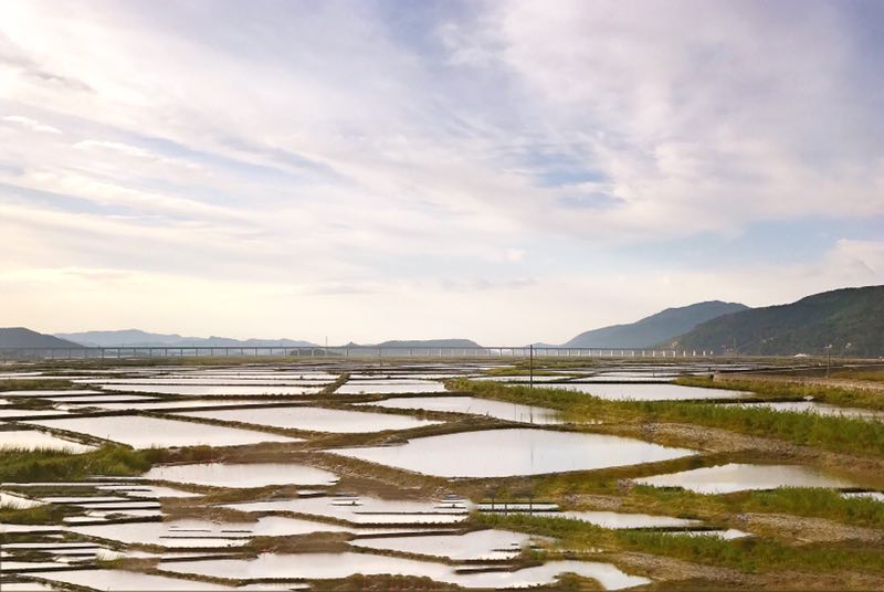 1 张 后岭花开嬉栖谷 暂无评分 景点地址 台州市温岭市城南镇后岭村后