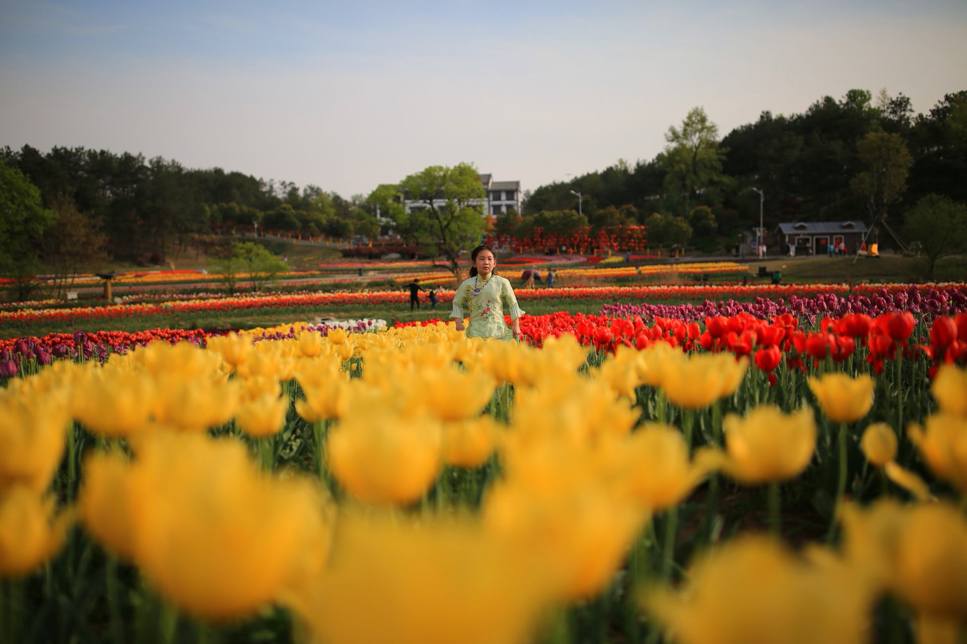 木兰花乡