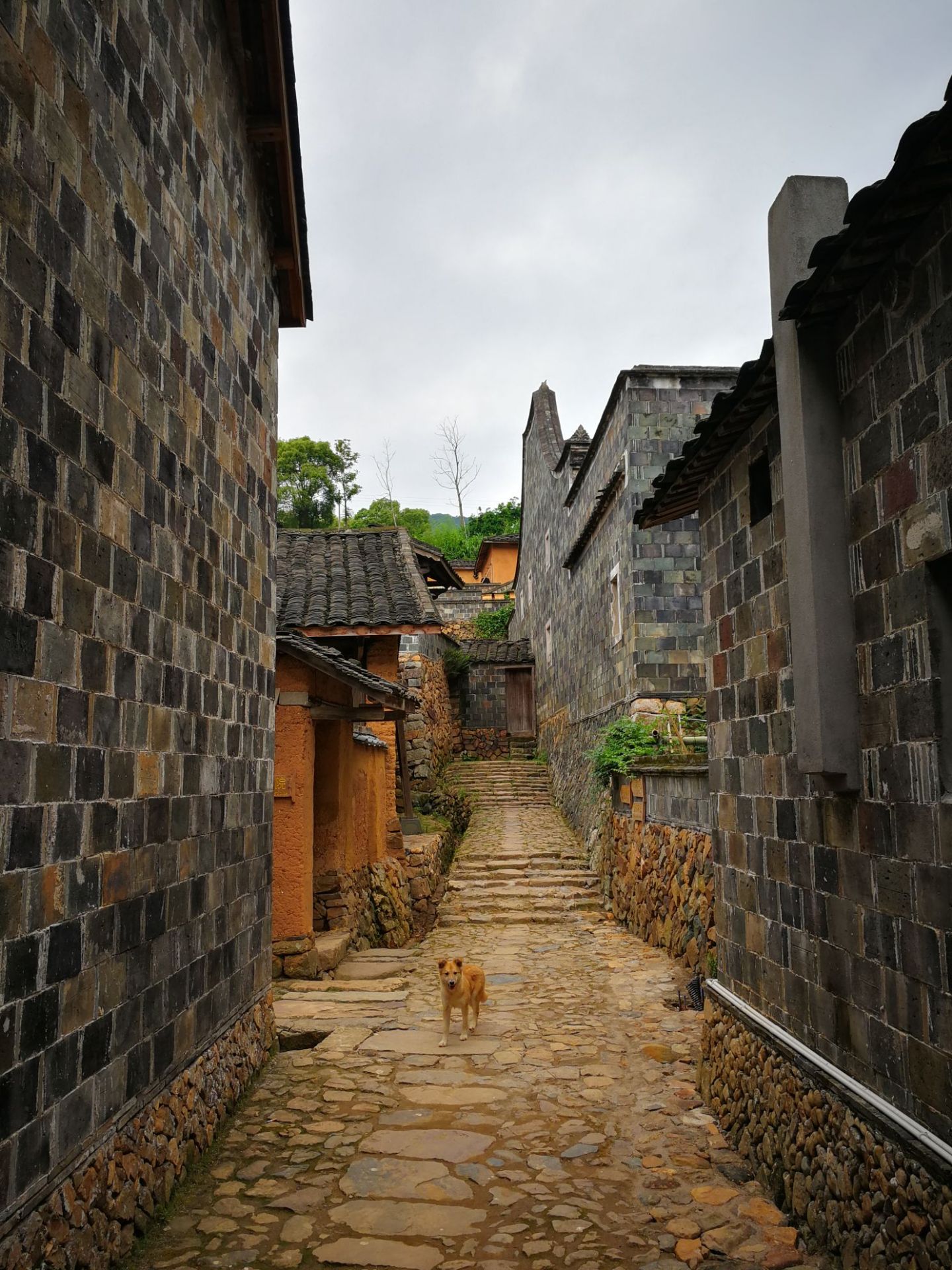 半月里村位于福建省霞浦县溪南镇,是畲族聚居的村庄