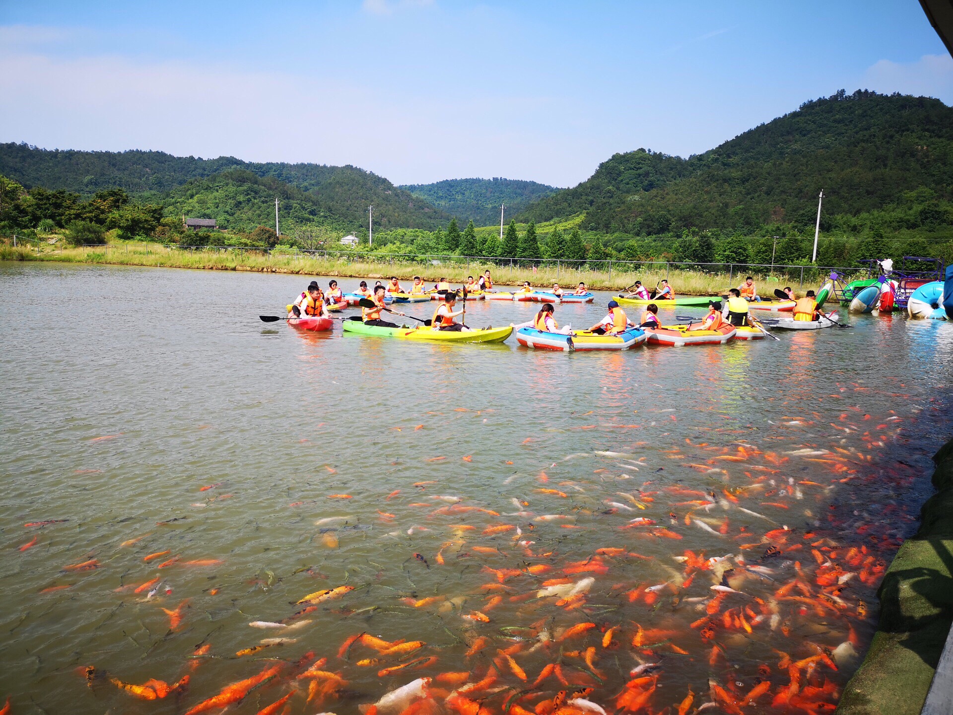 下渚湖星空营地图片