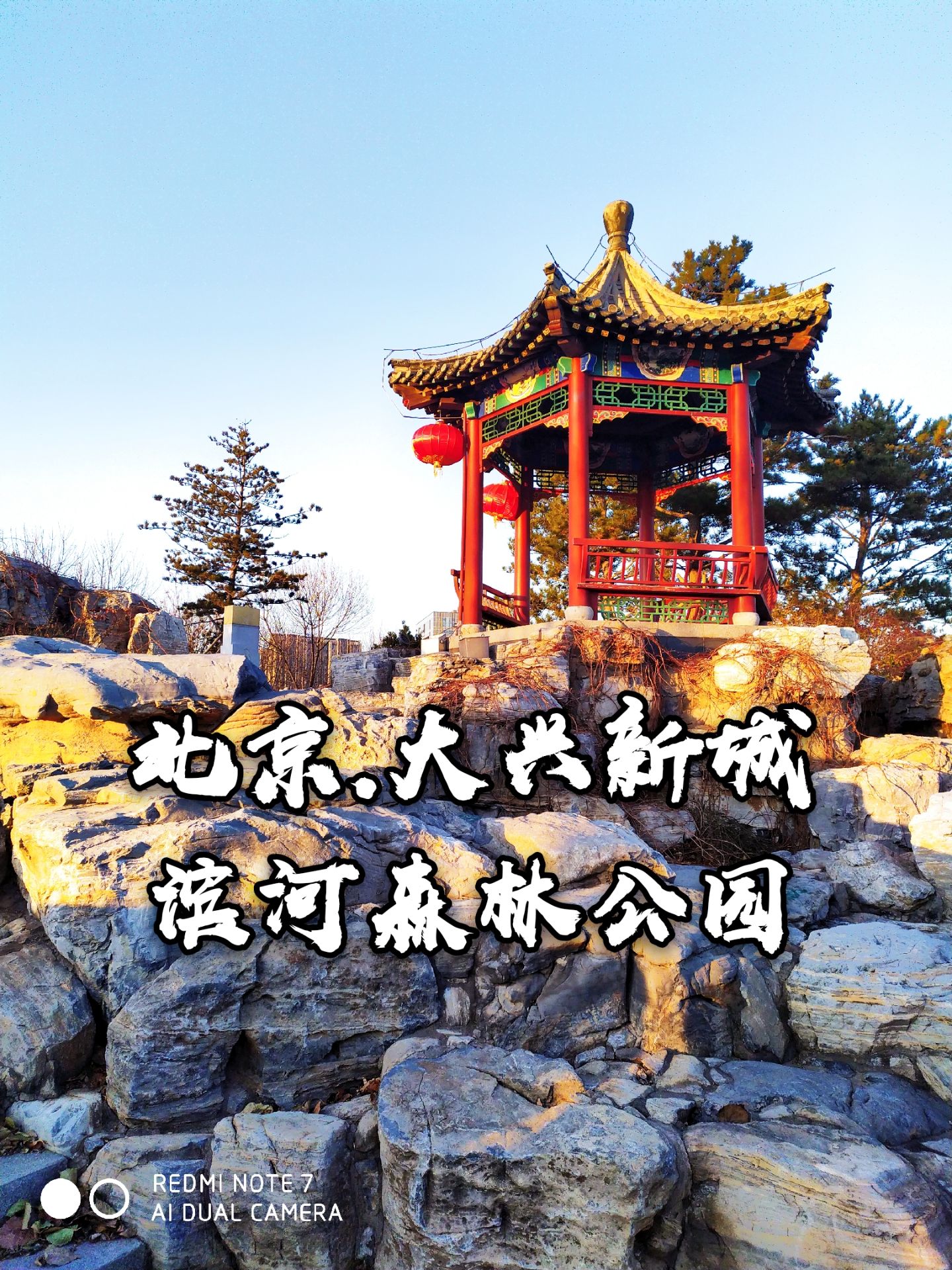 大兴新城滨河森林公园