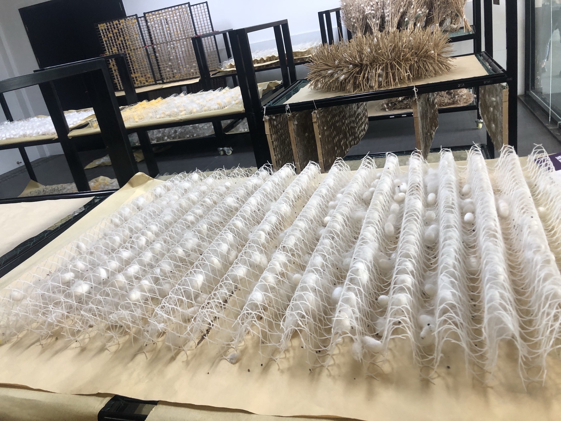 结茧的方式,给小朋友增长了很多知识,还有diy蚕茧作画,蚕丝花朵艺术品