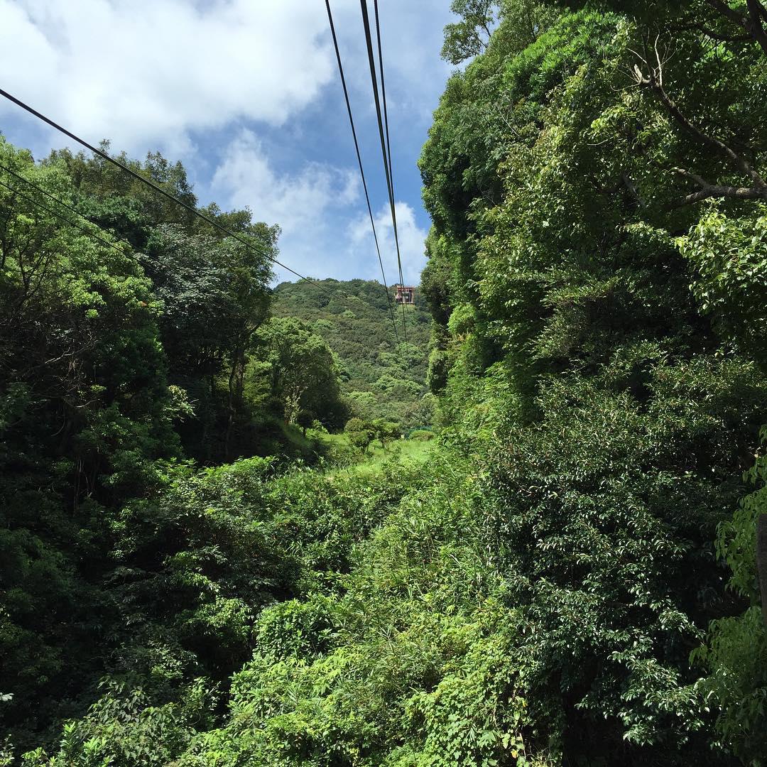 须磨浦山上公园