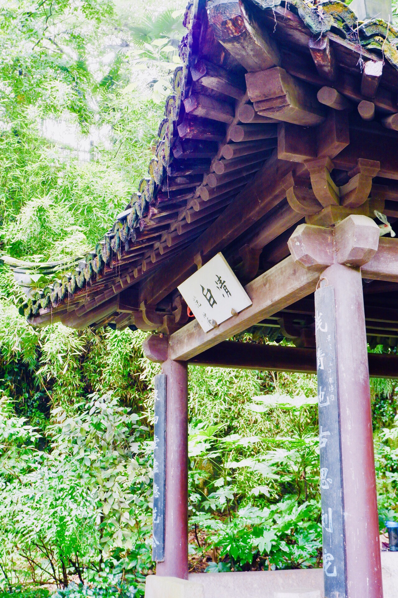 【携程攻略】绍兴清白泉景点,一直沿着越王台的这条中轴线向里走 沿途