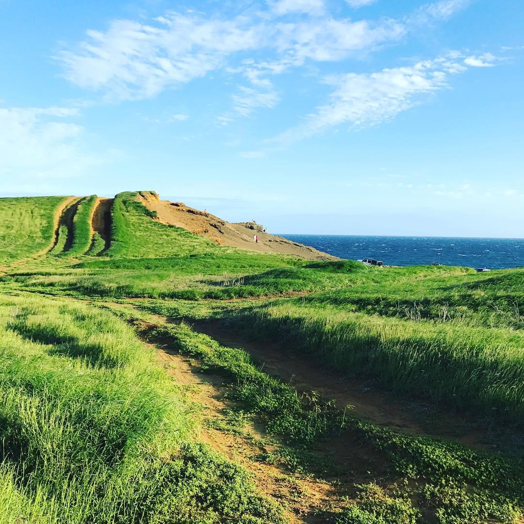 我和闺蜜正好在夏威夷,决定去看看世界上罕有的绿色沙滩之一,于是我们