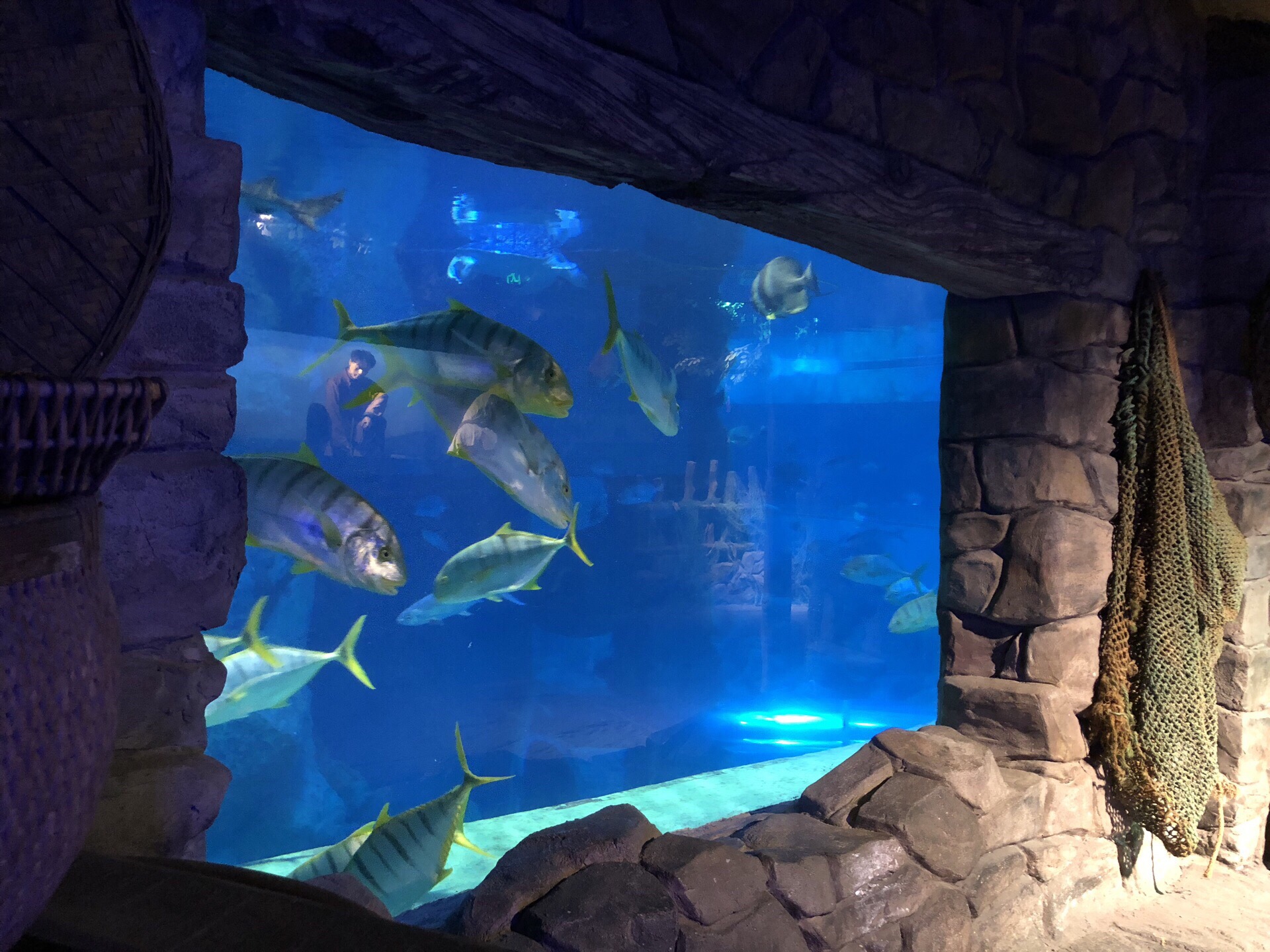 威海神游海洋世界