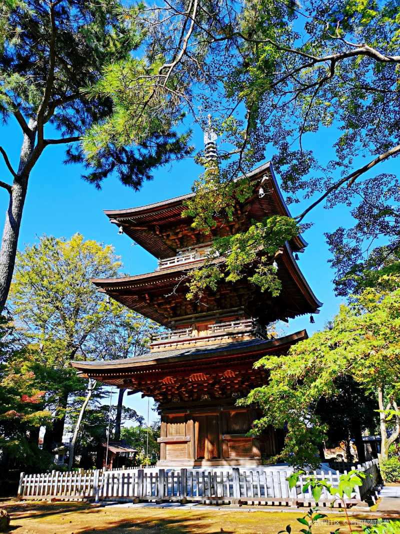 📍 日本东京豪德寺 打卡日本东京超可爱的招财猫神社,据说这里