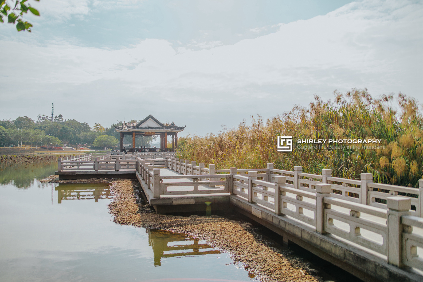 东莞松山湖生态园图片