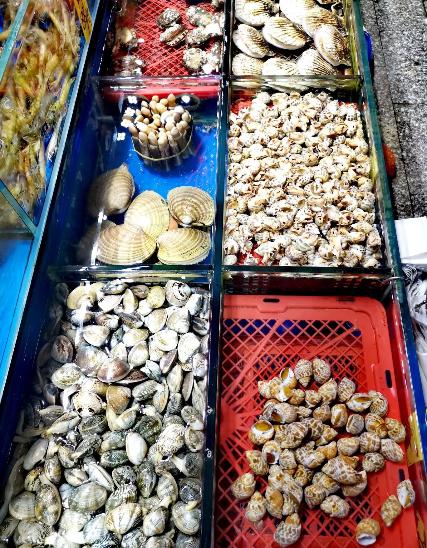 广州黄沙海鲜批发市场图片