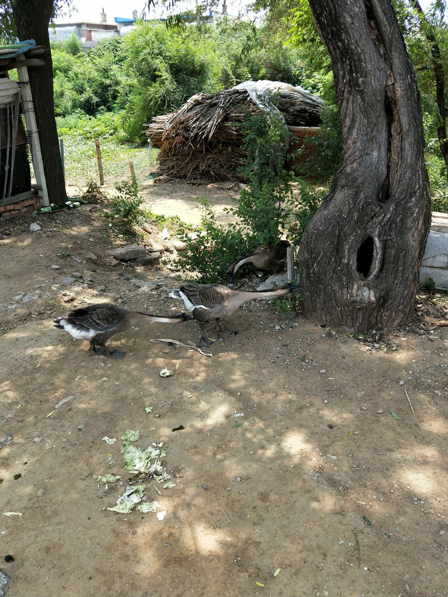 沈阳沙地沟攻略,沈阳沙地沟门票/游玩攻略/地址/图片