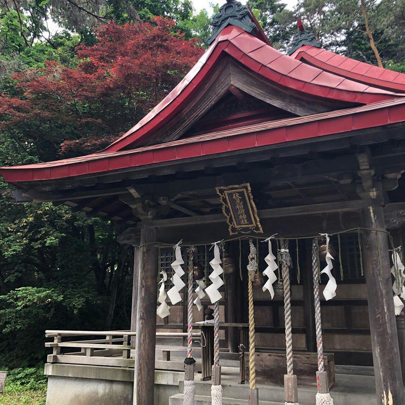 一只咸蛋 关注 札幌 伏见稻荷神社 来 札幌神社 看这一篇就够了 札幌是日本北海道的都会城市 也是北海道的行政中枢 人口在日本排名第五 日本有数不尽的 神社 但每个神社又跟其他神社不尽相同 今天就跟我一起去看一看吧 伏见稻荷神社 伏见稻荷神社