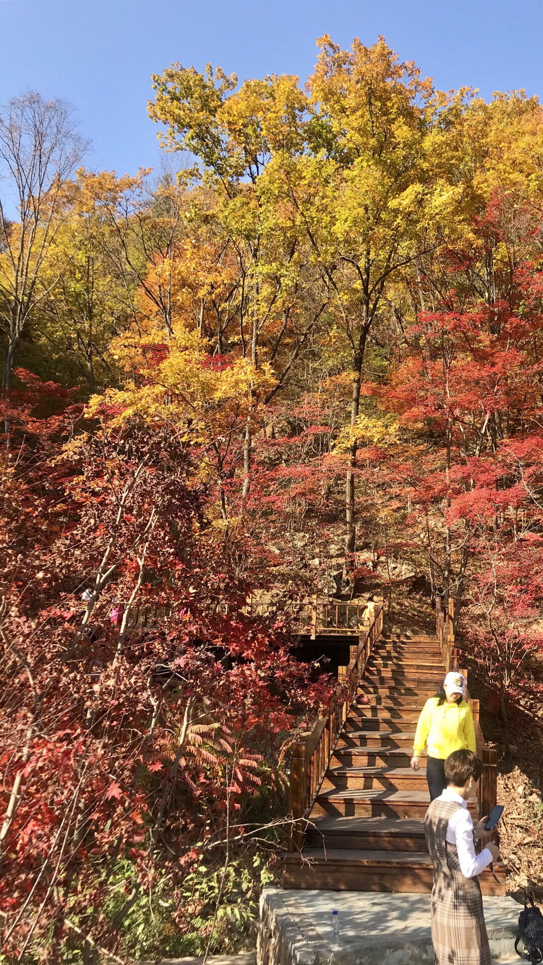 新宾岗山国家森林公园图片